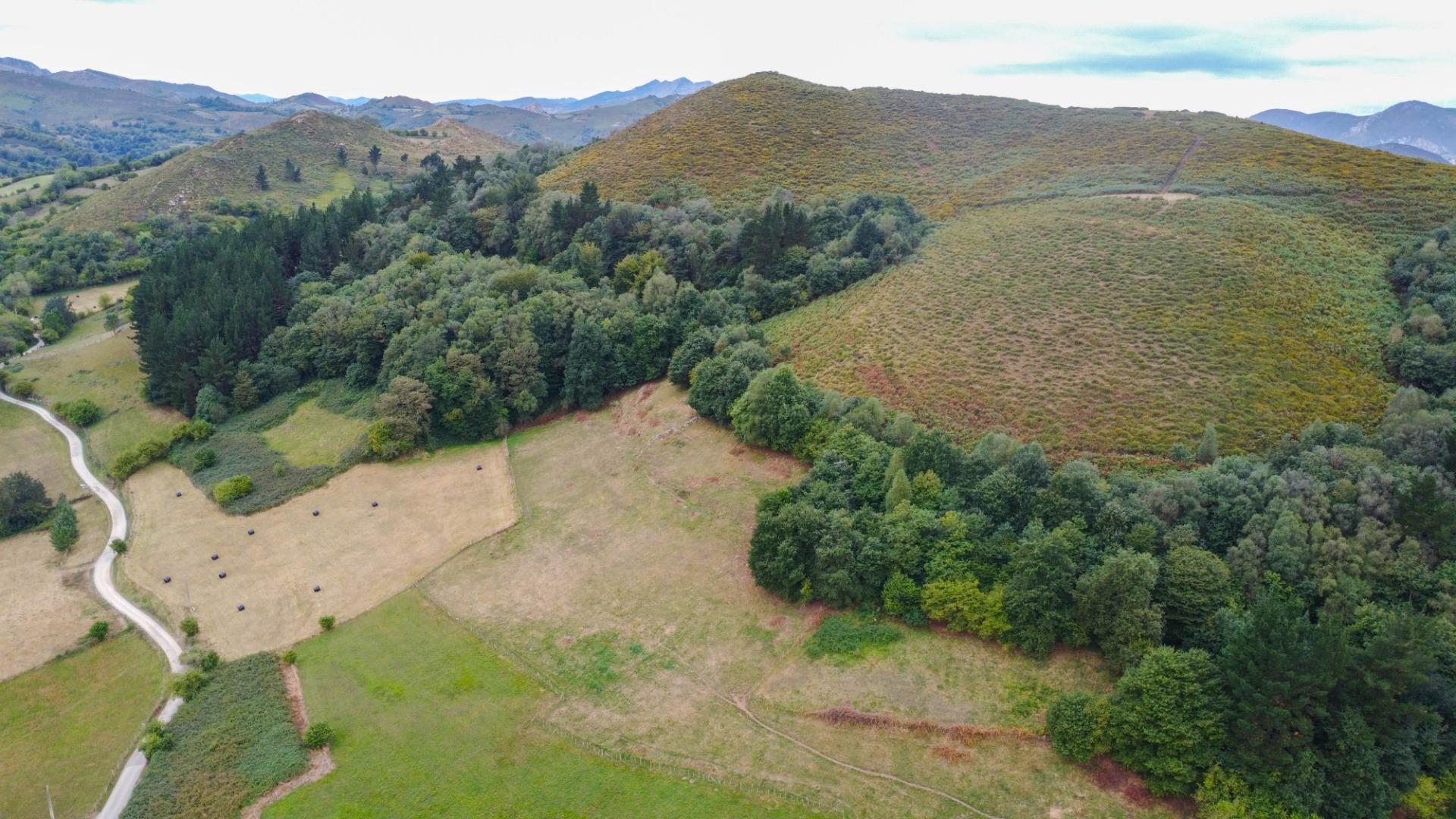 Pisos-Venta-El Grado-2238223-Foto-28