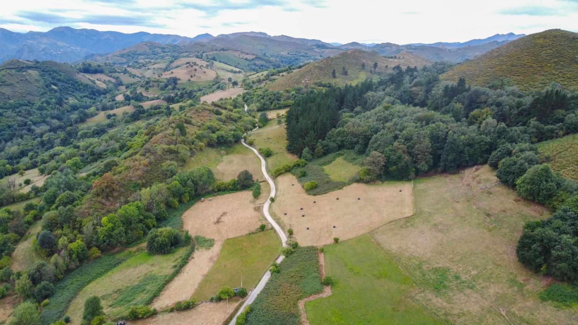 Pisos-Venta-El Grado-2238223-Foto-29