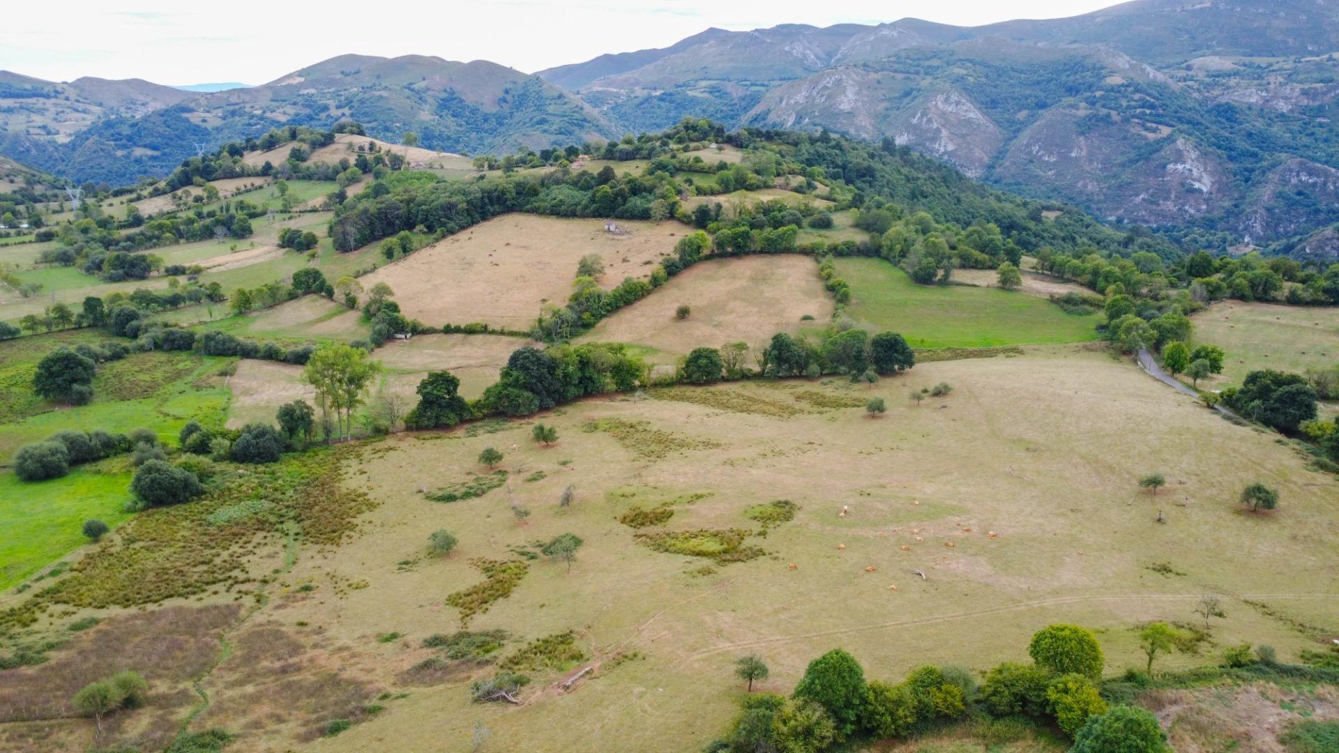 Pisos-Venta-El Grado-2238223-Foto-34