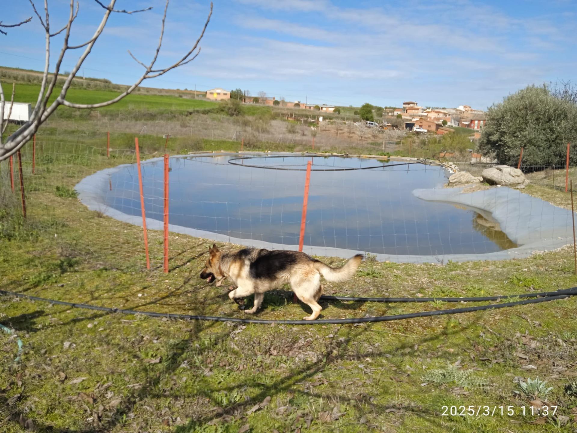 Casa en venta  San Martin de Pusa  13/60