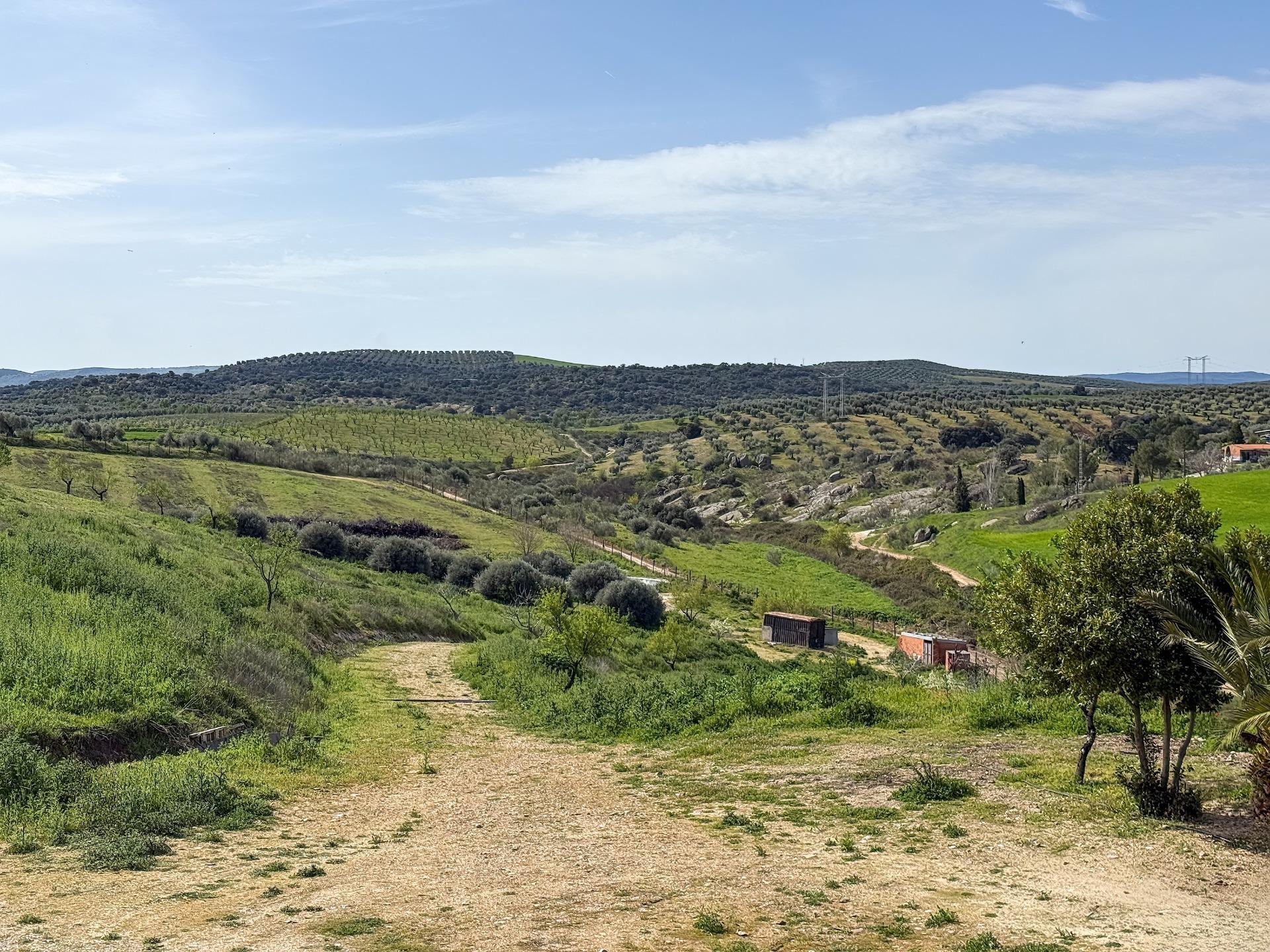 Casa en venta  San Martin de Pusa  22/60