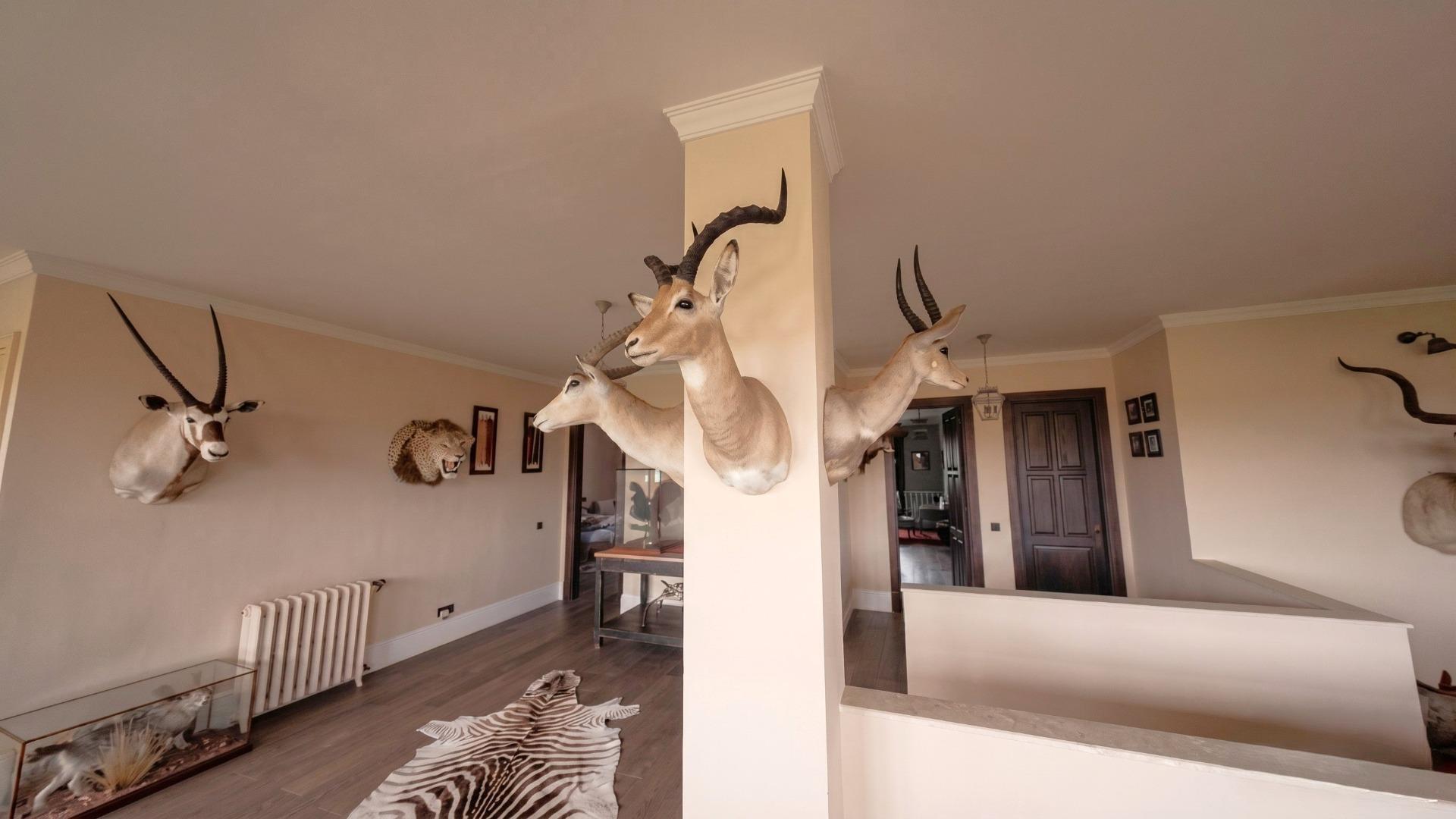 Casas o chalets-Venta-Ruidera-2239412-Foto-15