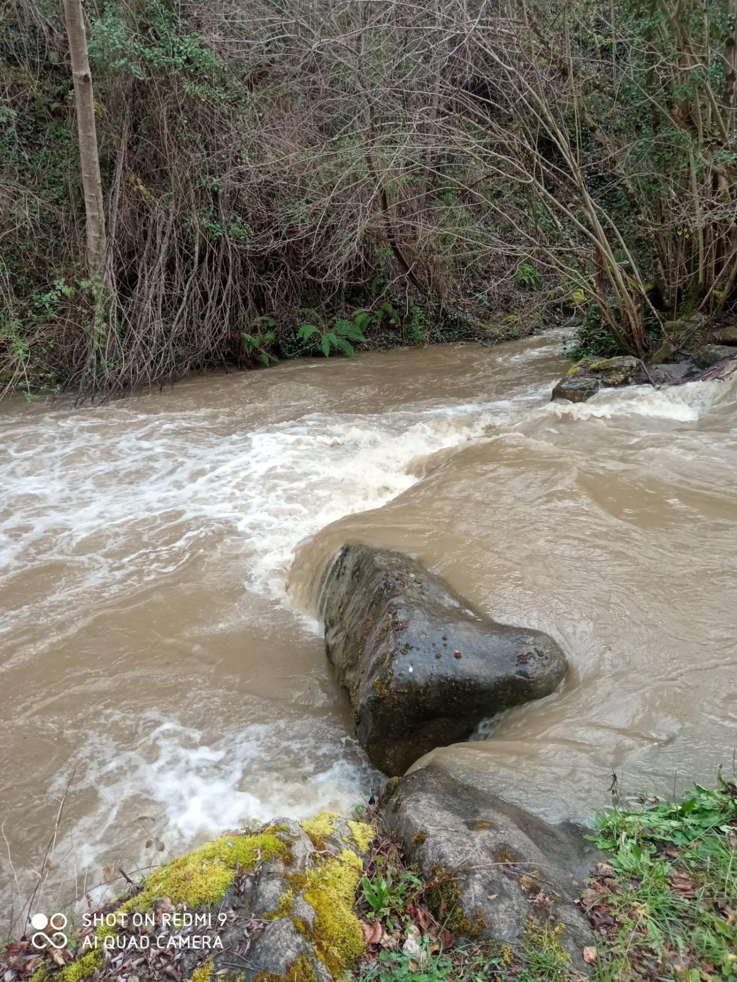 Casas o chalets-Venta-Pesaguero-2239445-Foto-38