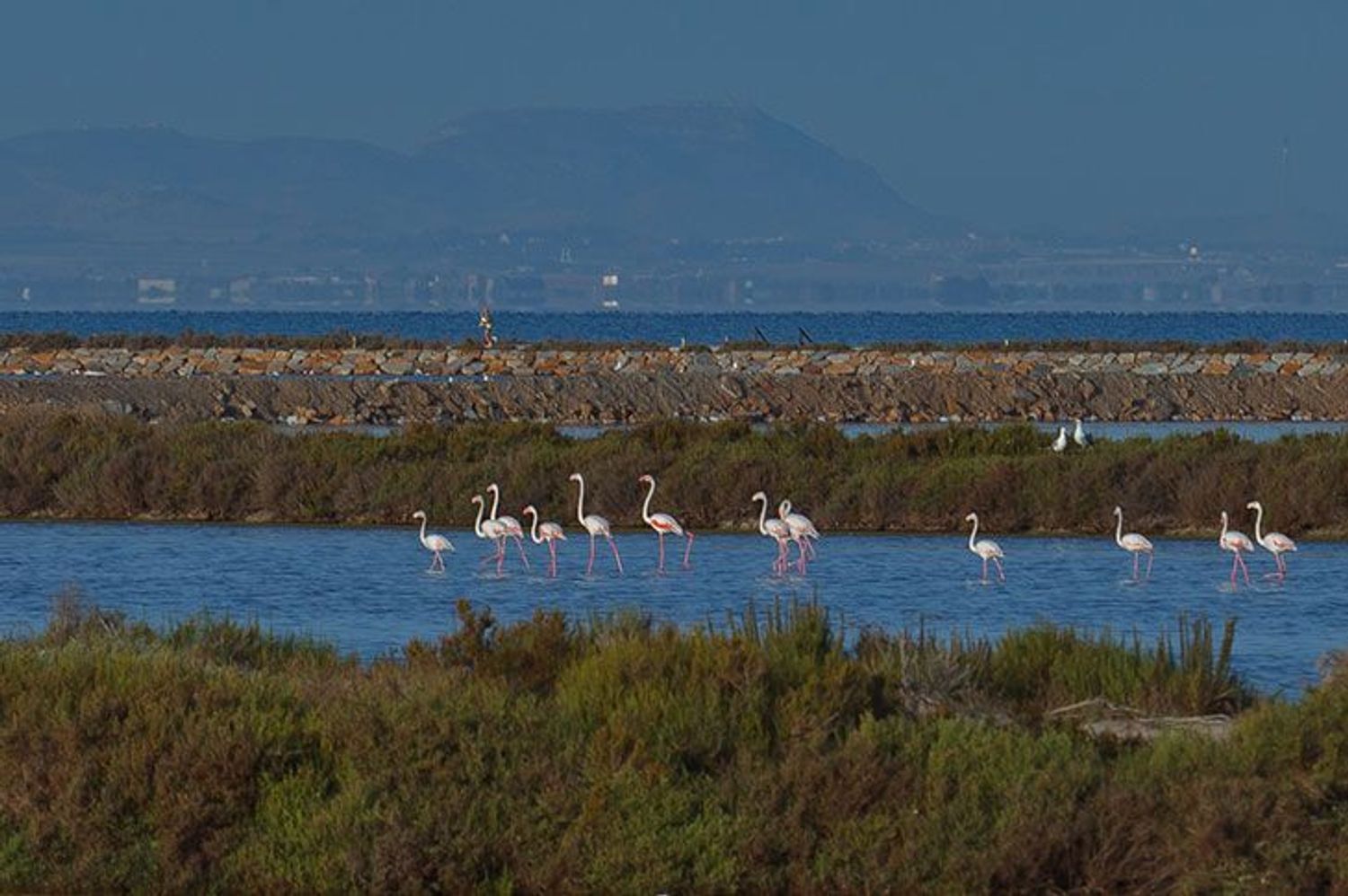Villa in San Pedro del Pinatar