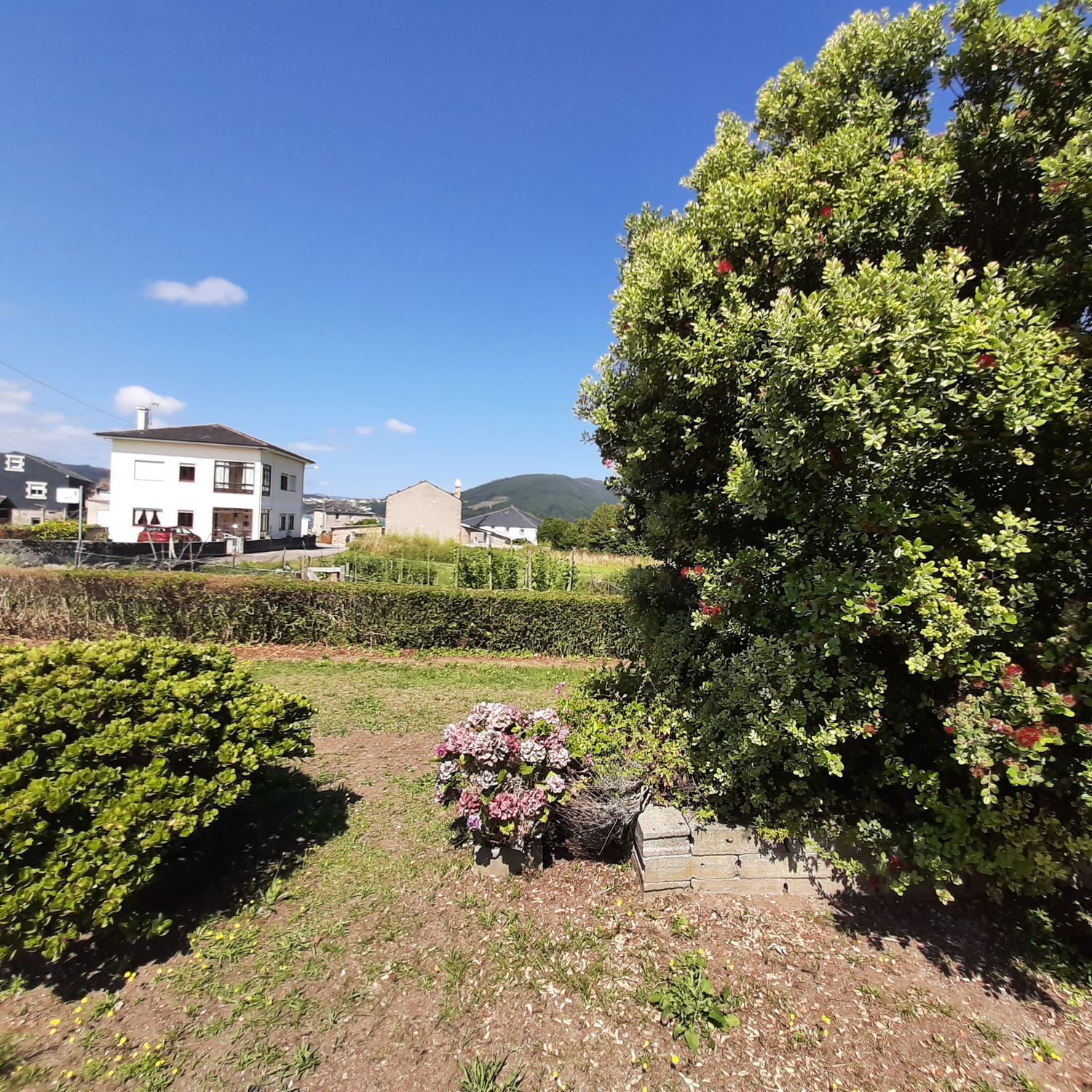 Casa en venta en O Vicedo 6/41