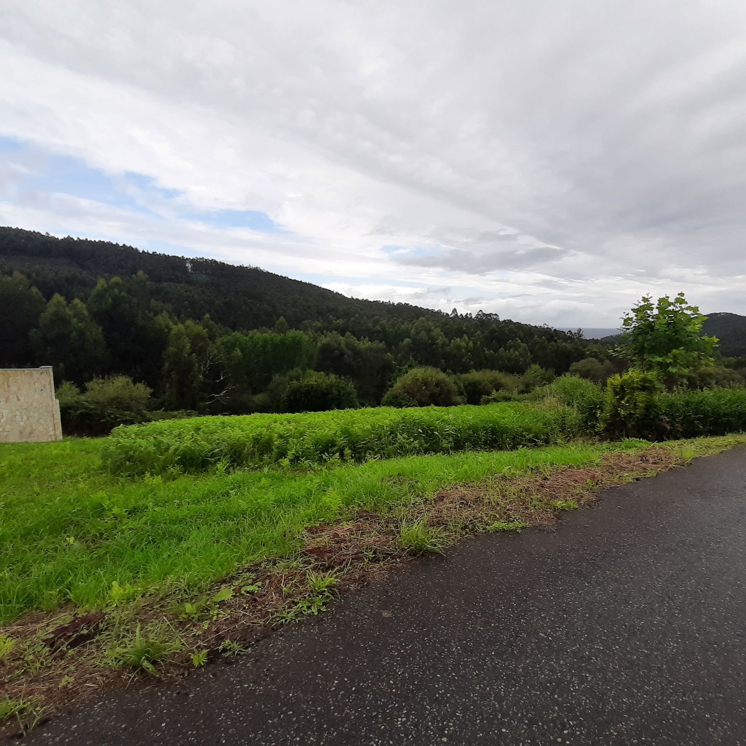 Terreno en venta en O Vicedo 5/13