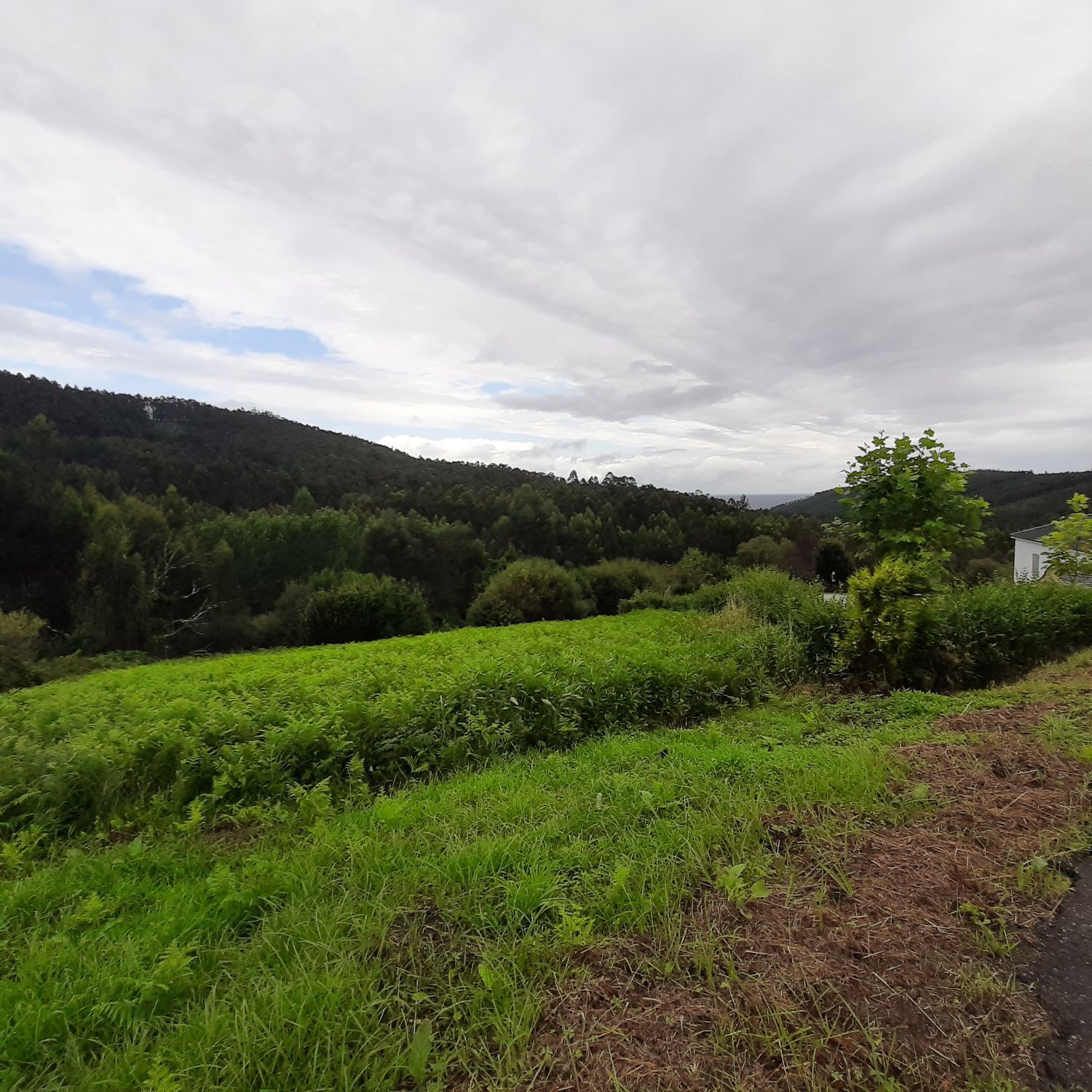 Terreno en venta en O Vicedo 6/13