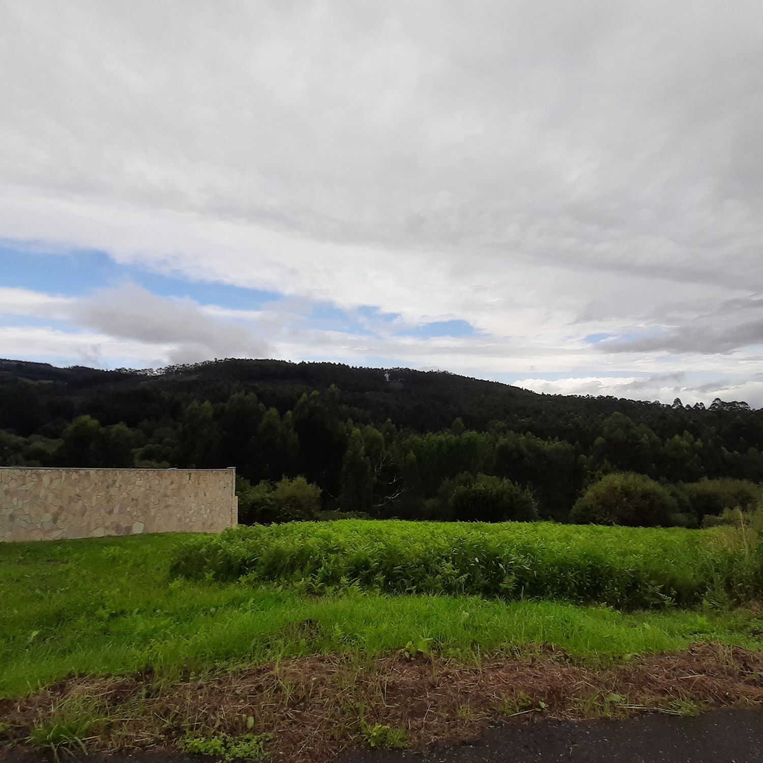 Terreno en venta en O Vicedo 9/13