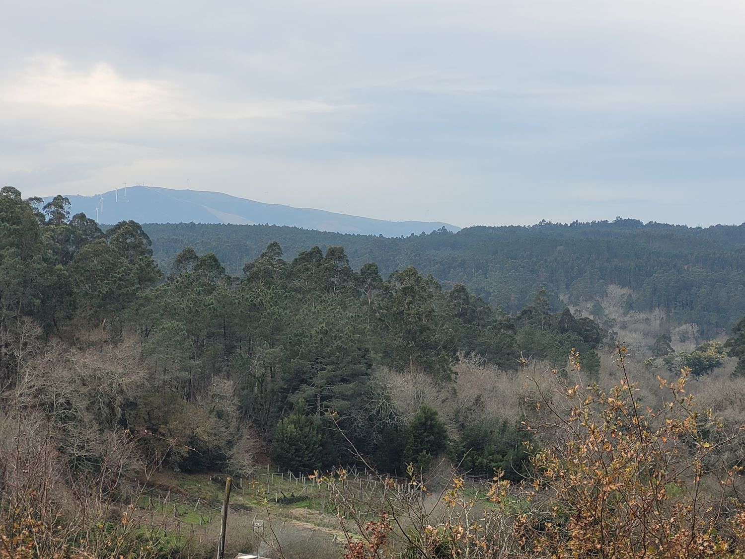 Casa en venta en Moraña 25/53