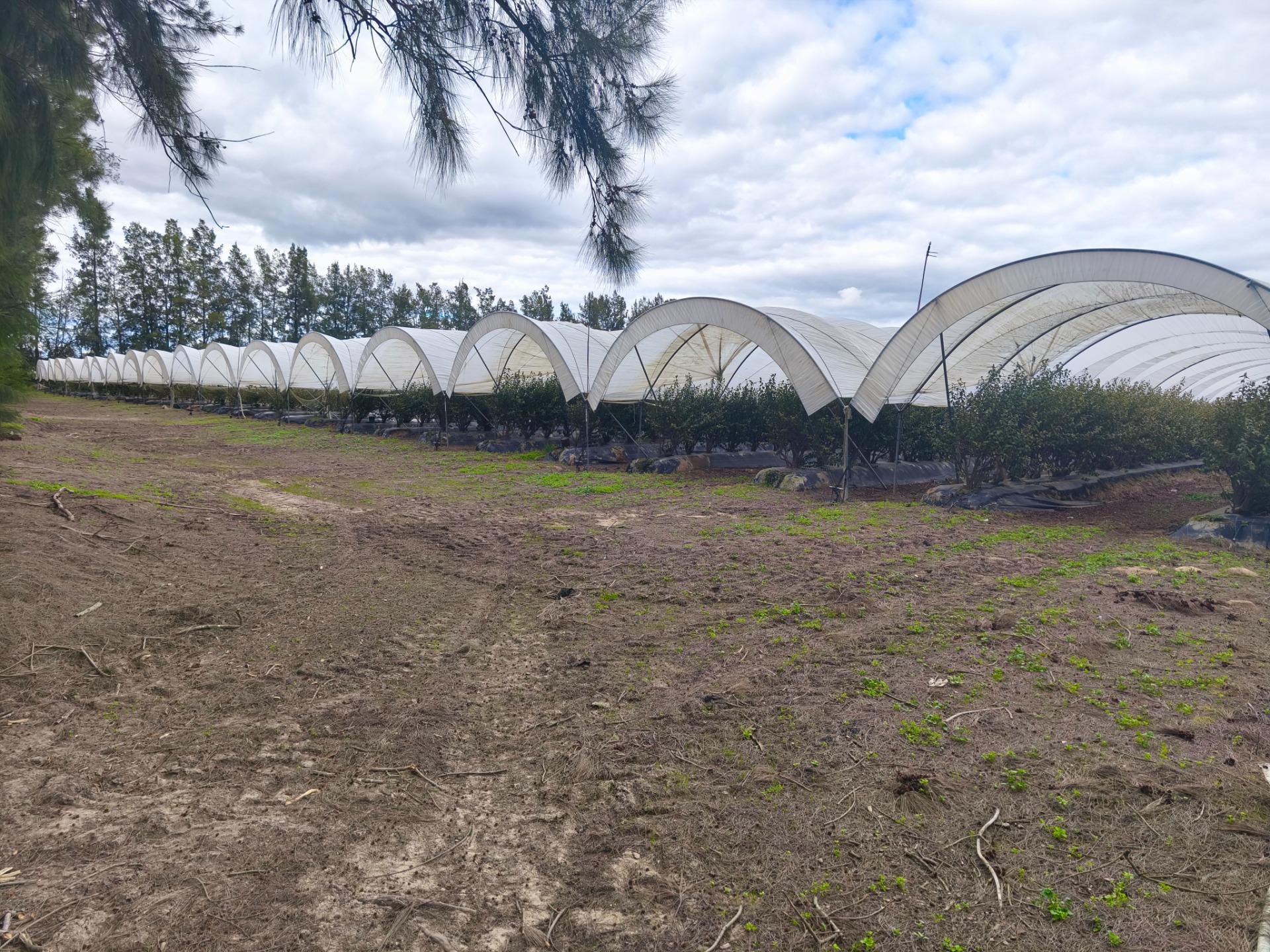 Fincas y solares-Venta-Almonte-2200203