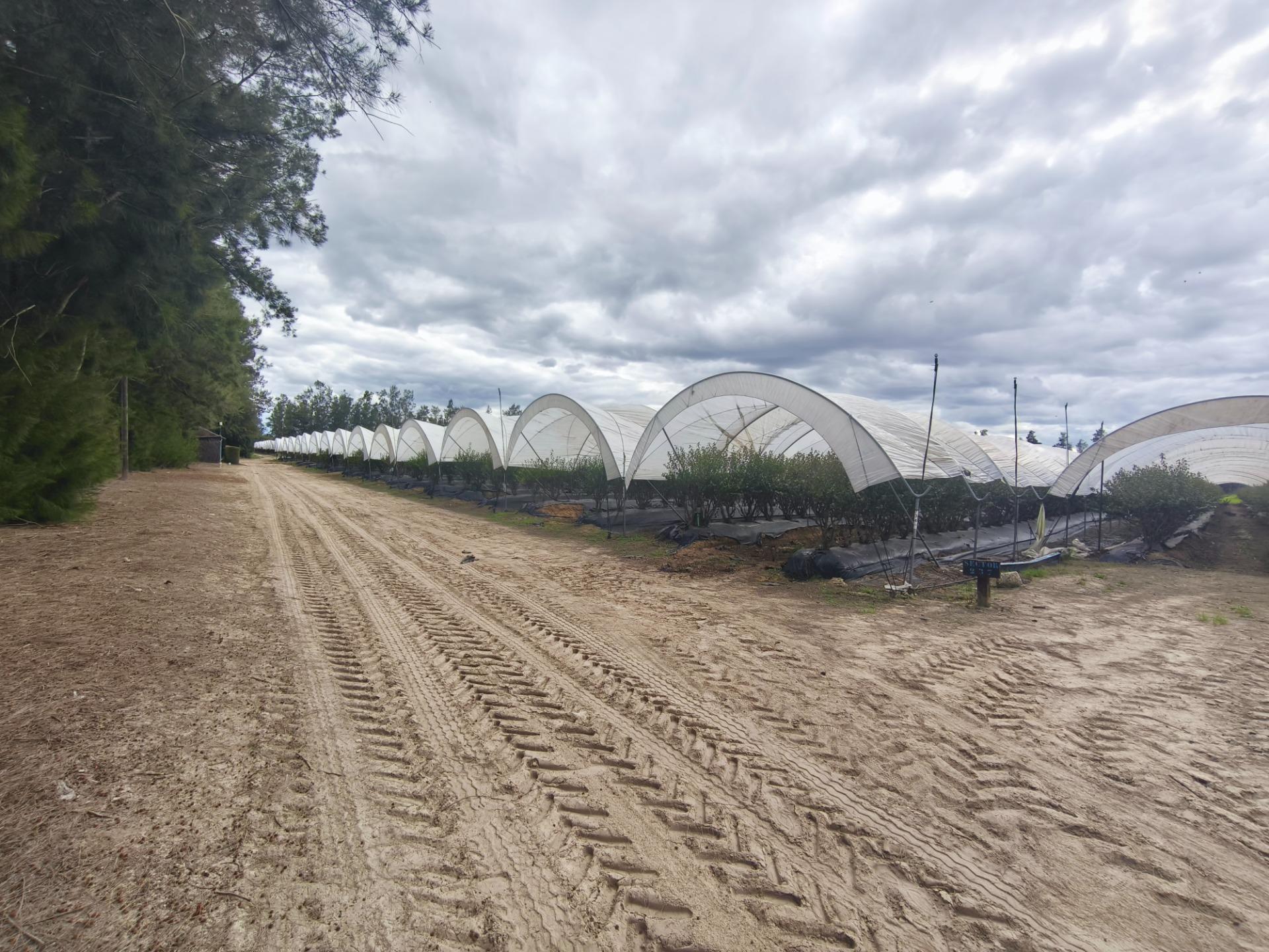 Finca de 18,7 Ha en El Rocío. Oportunidad de Inversión.