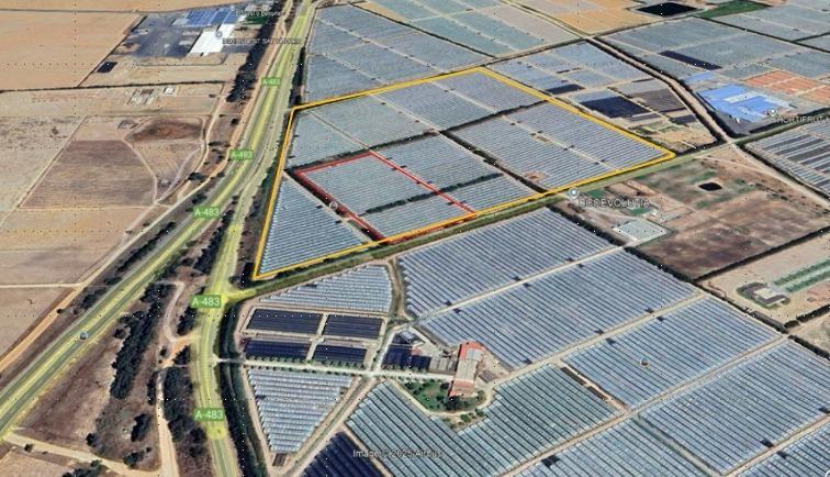 Finca de 18,7 Ha en El Rocío. Oportunidad de Inversión.