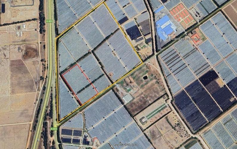 Finca de 18,7 Ha en El Rocío. Oportunidad de Inversión.