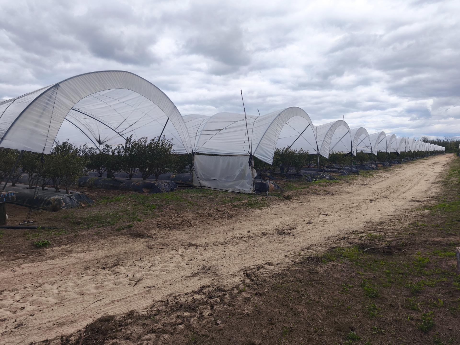 Finca de 18,7 Ha en El Rocío. Oportunidad de Inversión.