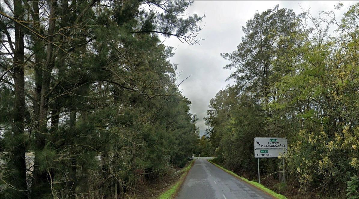 Finca de 18,7 Ha en El Rocío. Oportunidad de Inversión.