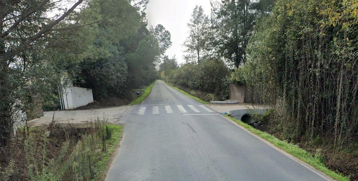 Finca de 18,7 Ha en El Rocío. Oportunidad de Inversión.