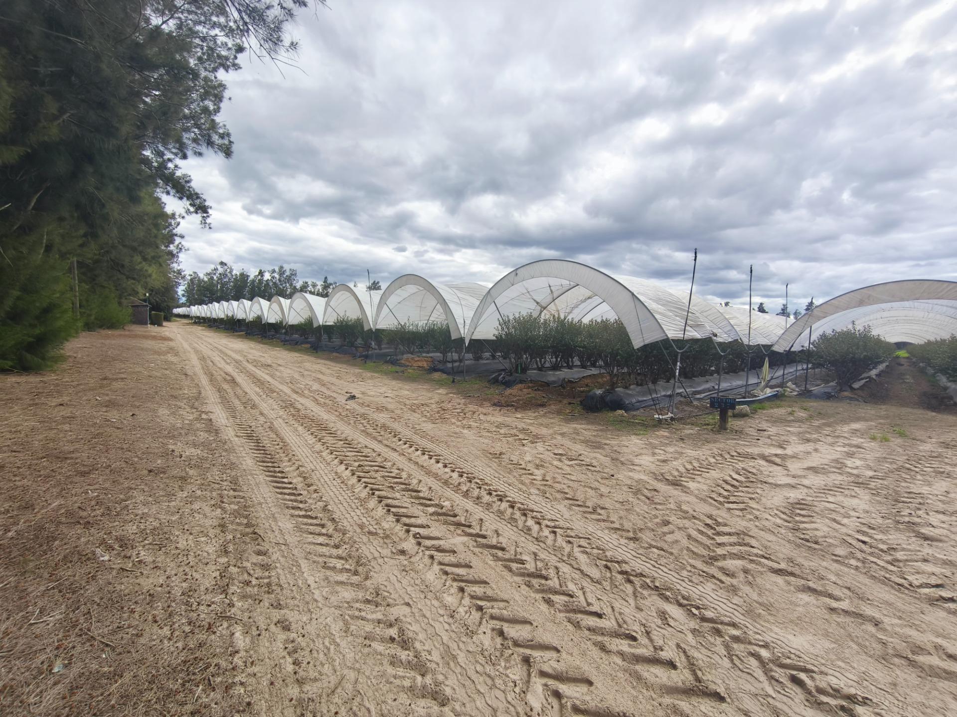 Finca de 18,7 Ha en El Rocío. Oportunidad de Inversión.