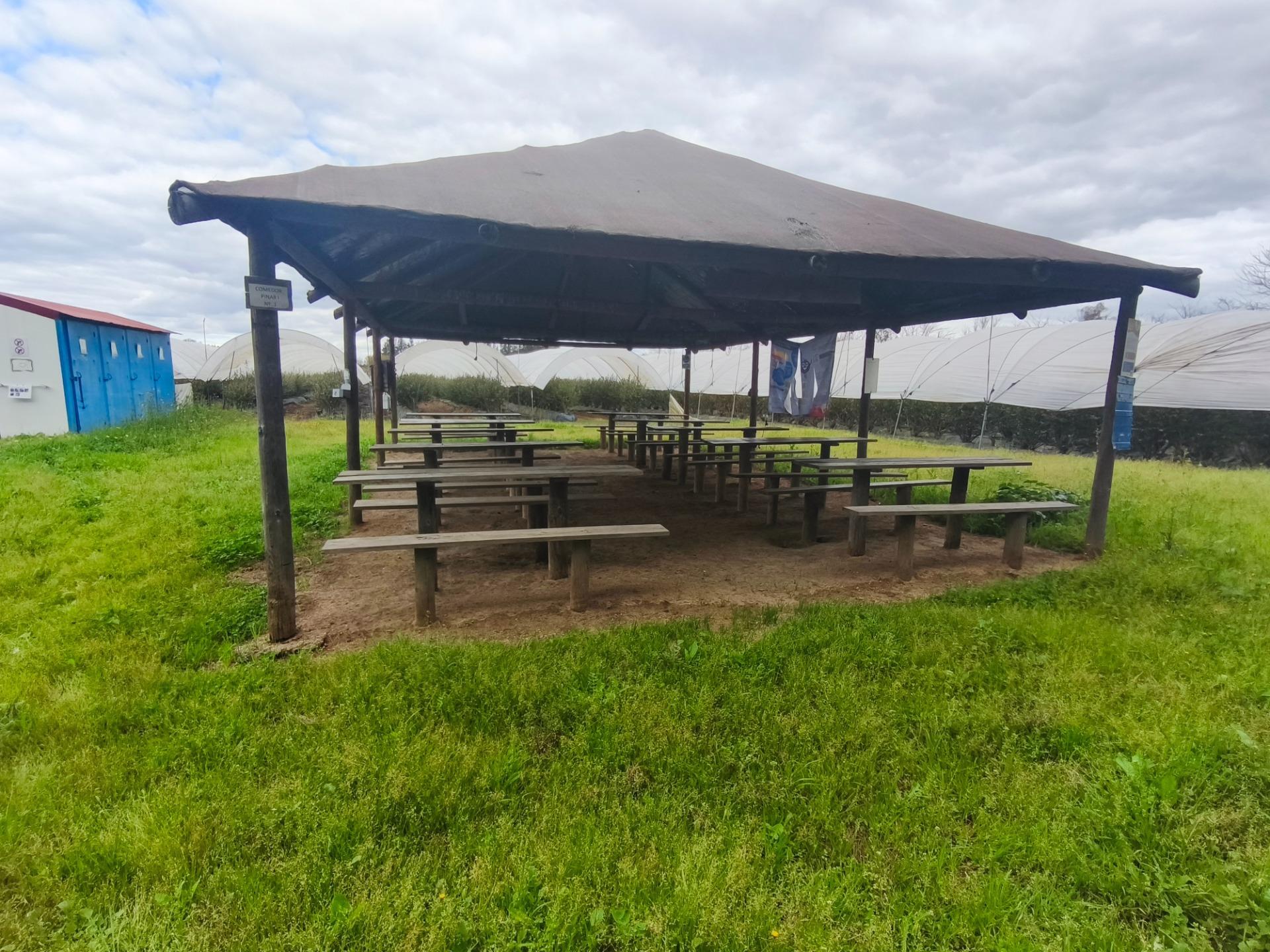 Finca de 18,7 Ha en El Rocío. Oportunidad de Inversión.