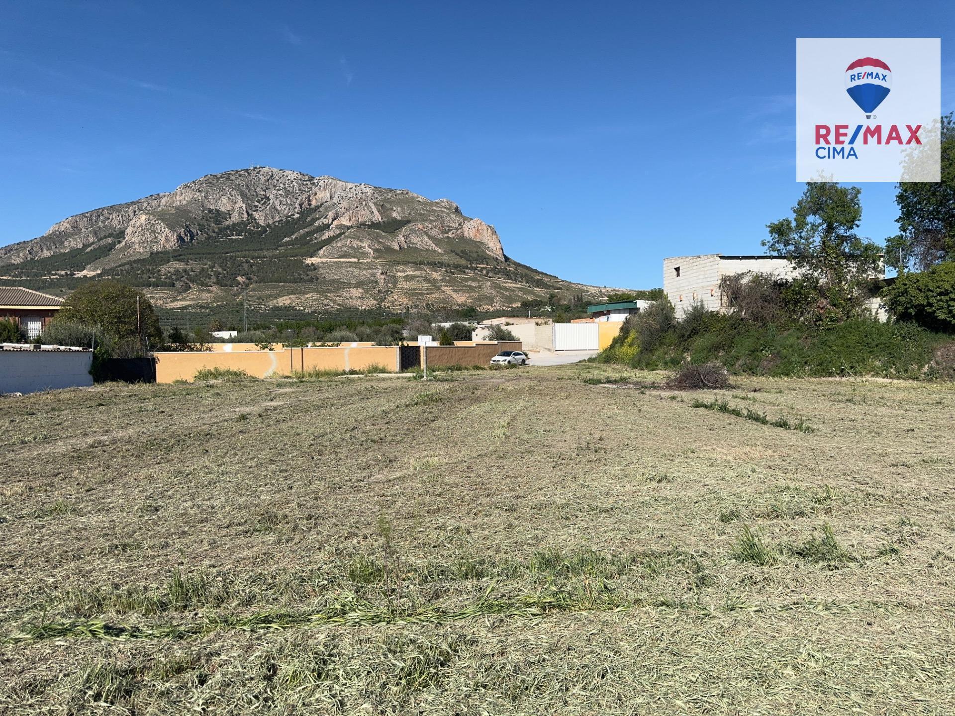 SOLAR URBANO Y RÚSTICO EN ZÚJAR (GRANADA)