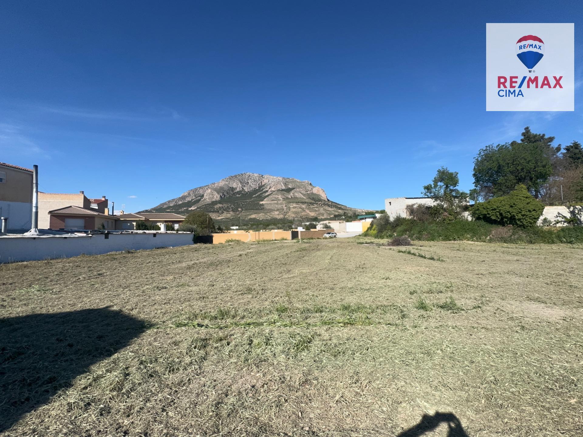 SOLAR URBANO Y RÚSTICO EN ZÚJAR (GRANADA)