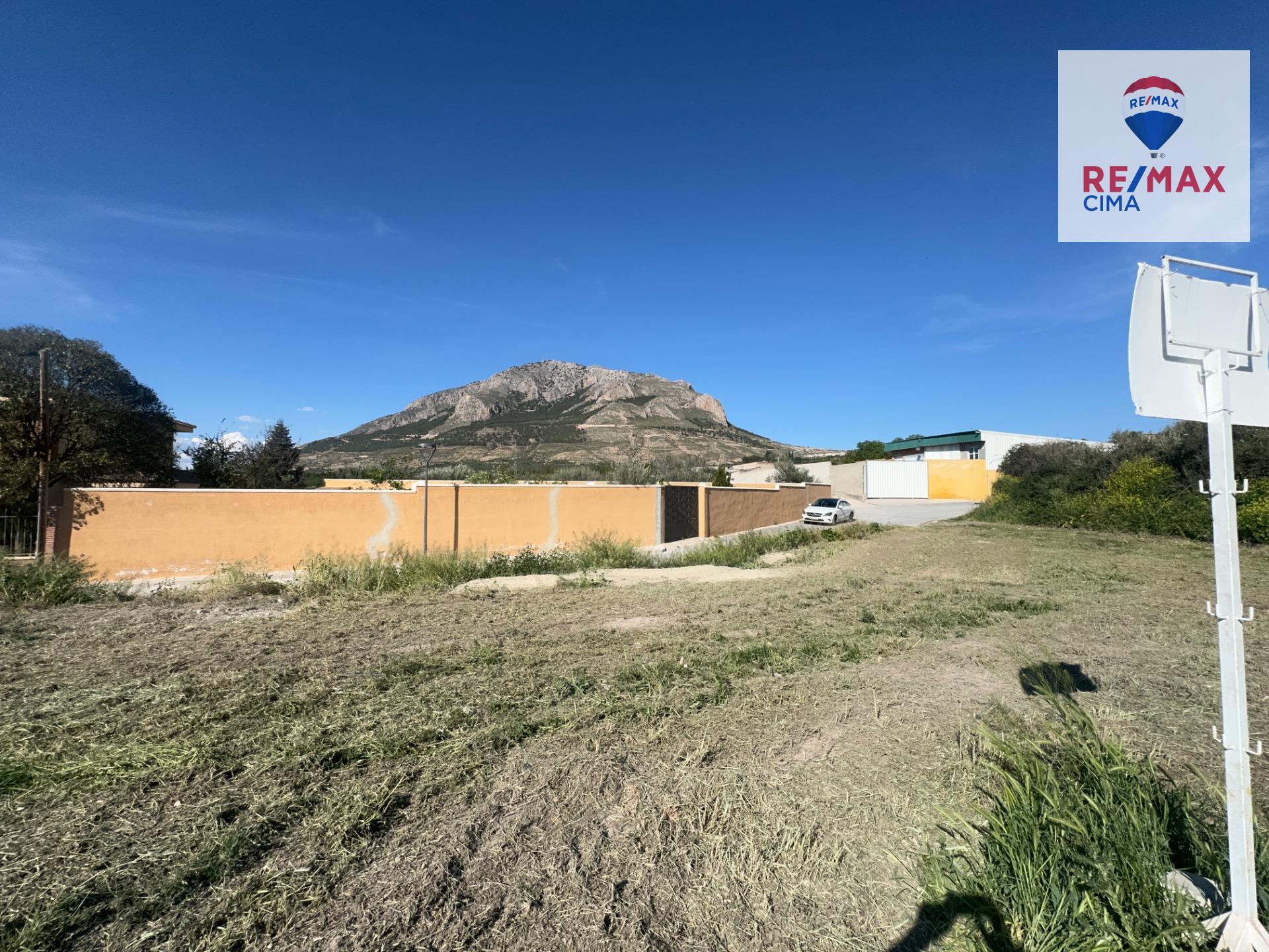 SOLAR URBANO Y RÚSTICO EN ZÚJAR (GRANADA)