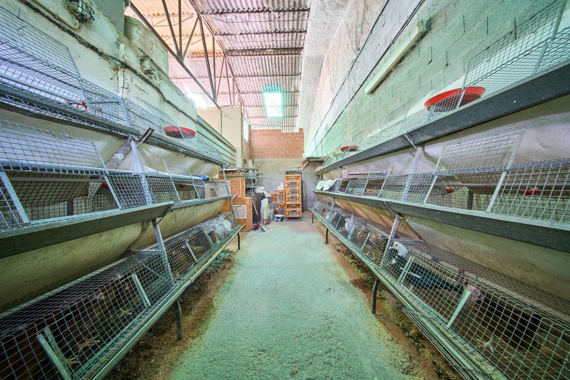 NAVE INDUSTRIAL EN UNA DE LAS MEJORES ZONAS LOGÍSTICAS DE GRANADA, ATARFE ?