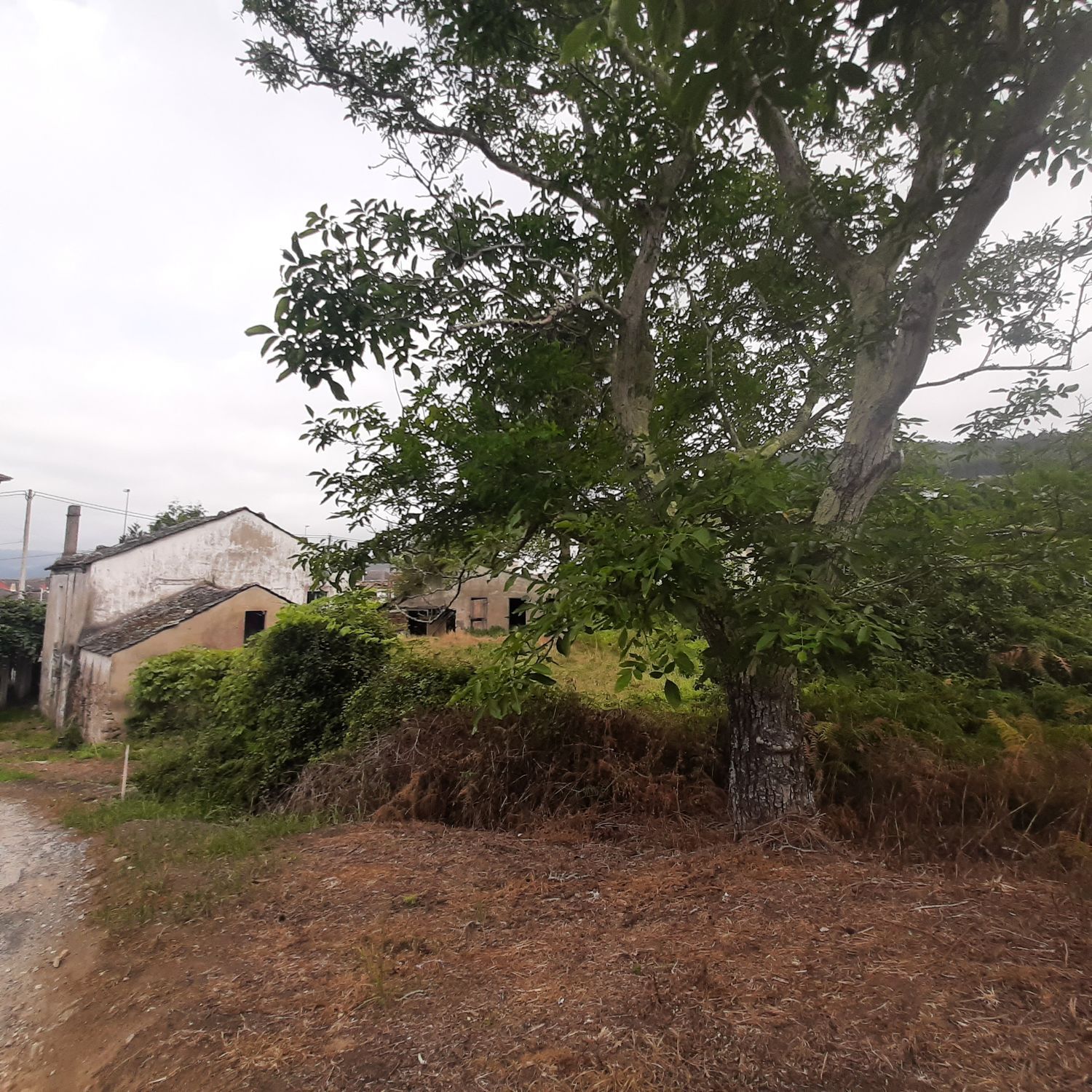 Propiedad en venta en Lugo, Viveiro