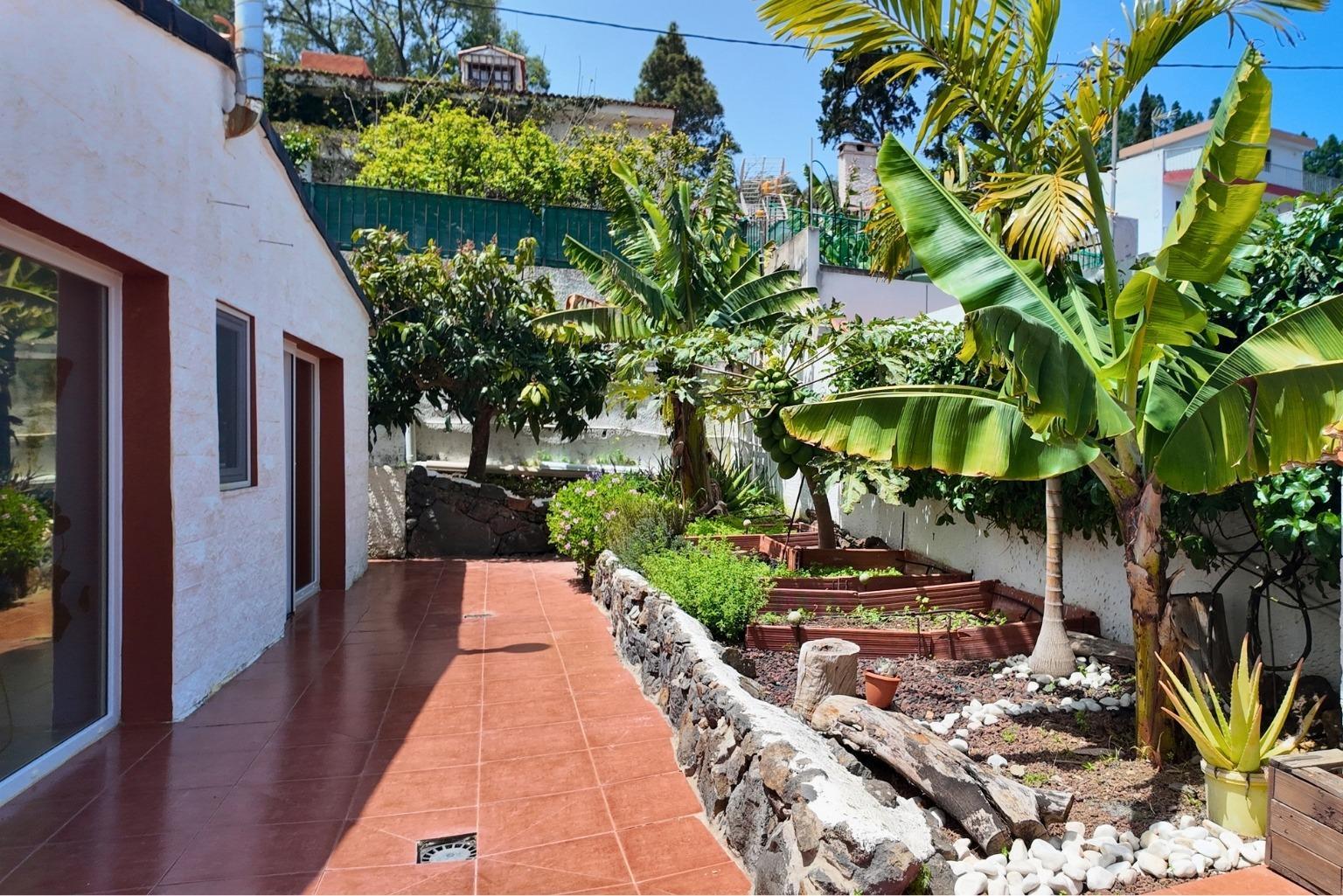 Casas o chalets-Venta-Arucas-2240132-Foto-16