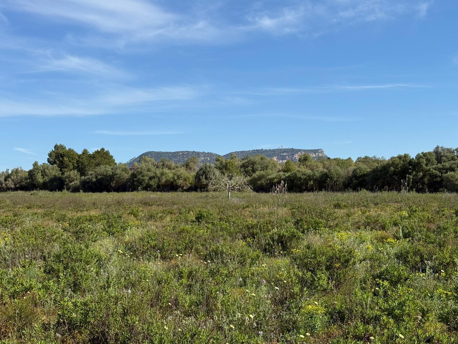 Fincas y solares-Venta-2238217