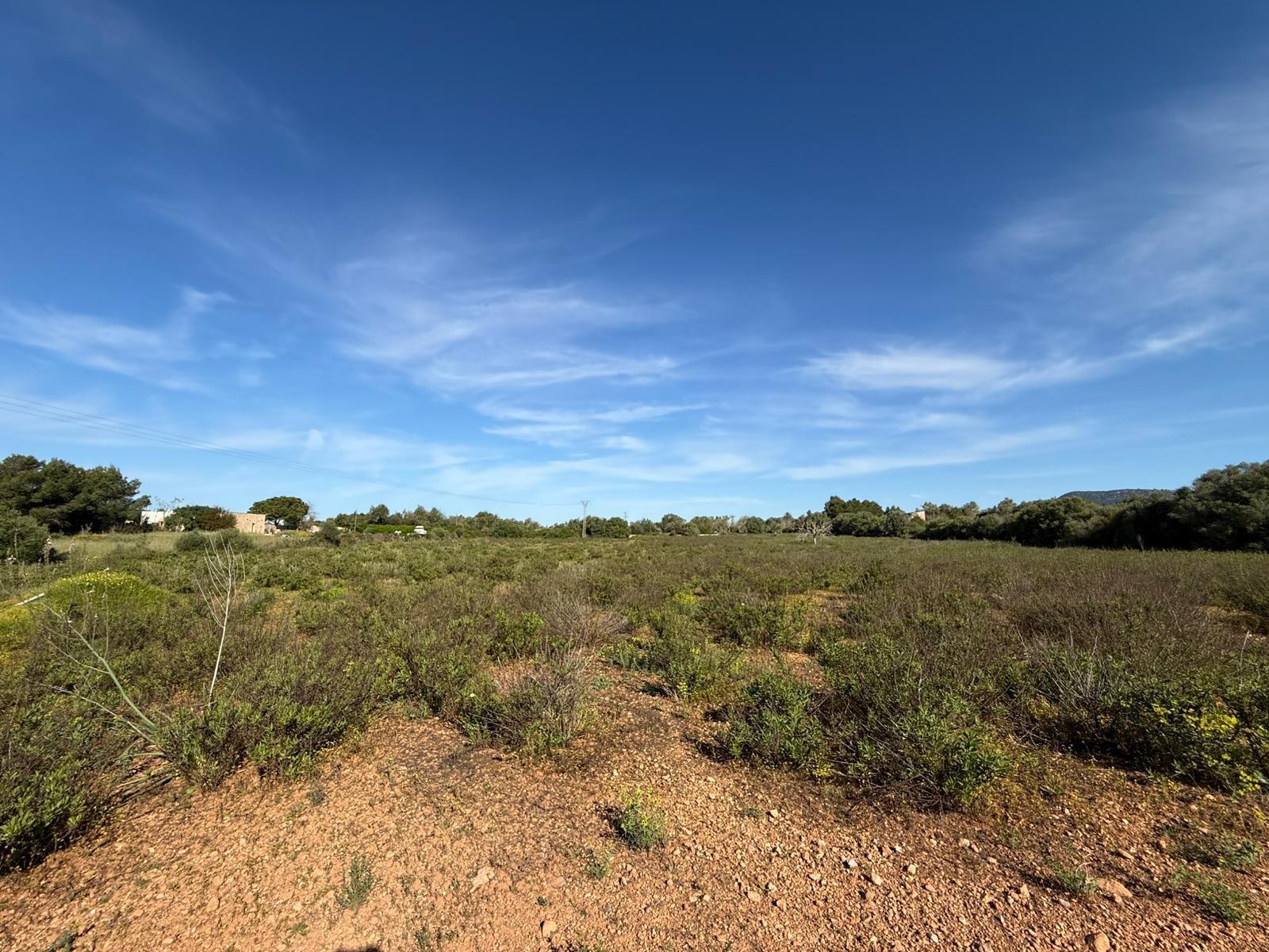 Fincas y solares-Venta-Llucmajor-2238217-Foto-9