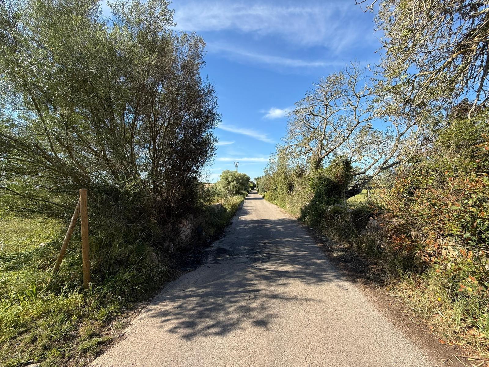 Fincas y solares-Venta-Llucmajor-2238217-Foto-10