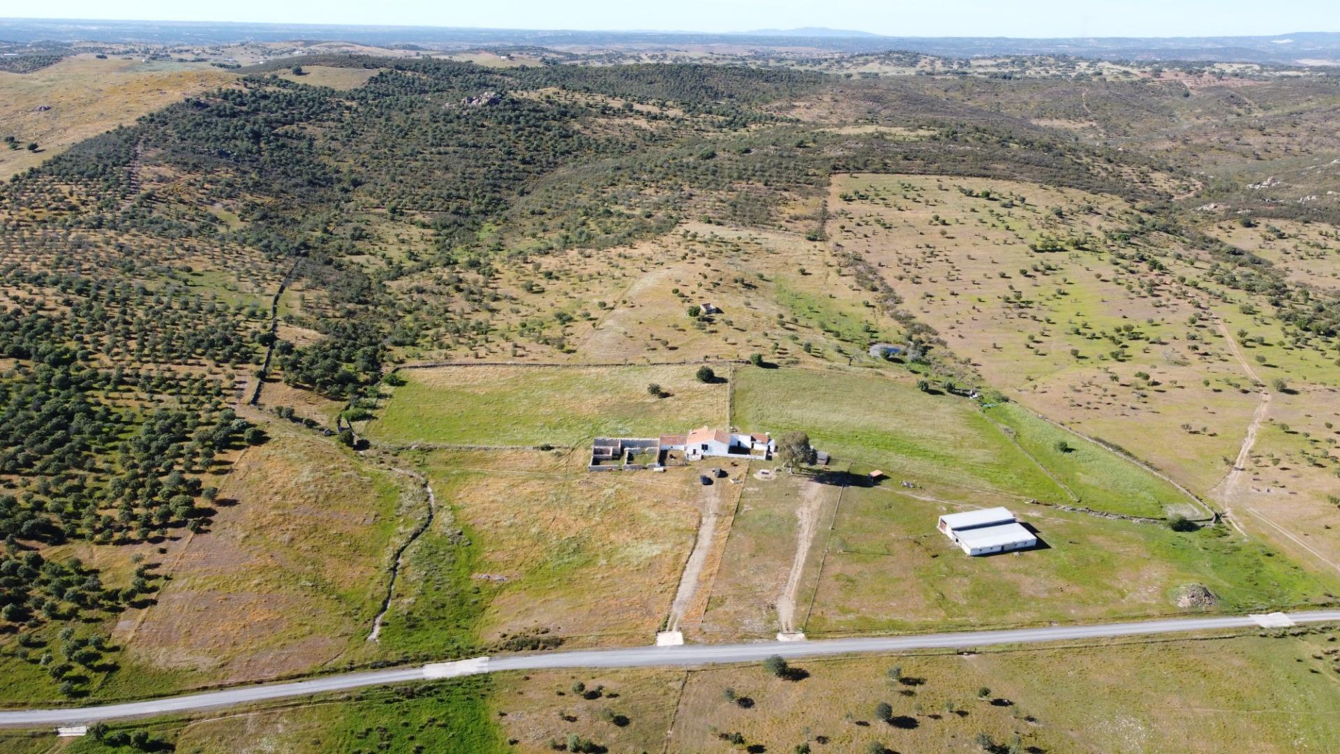 Pisos-Venta-Puebla de GuzmÃ¡n-2240144-Foto-3