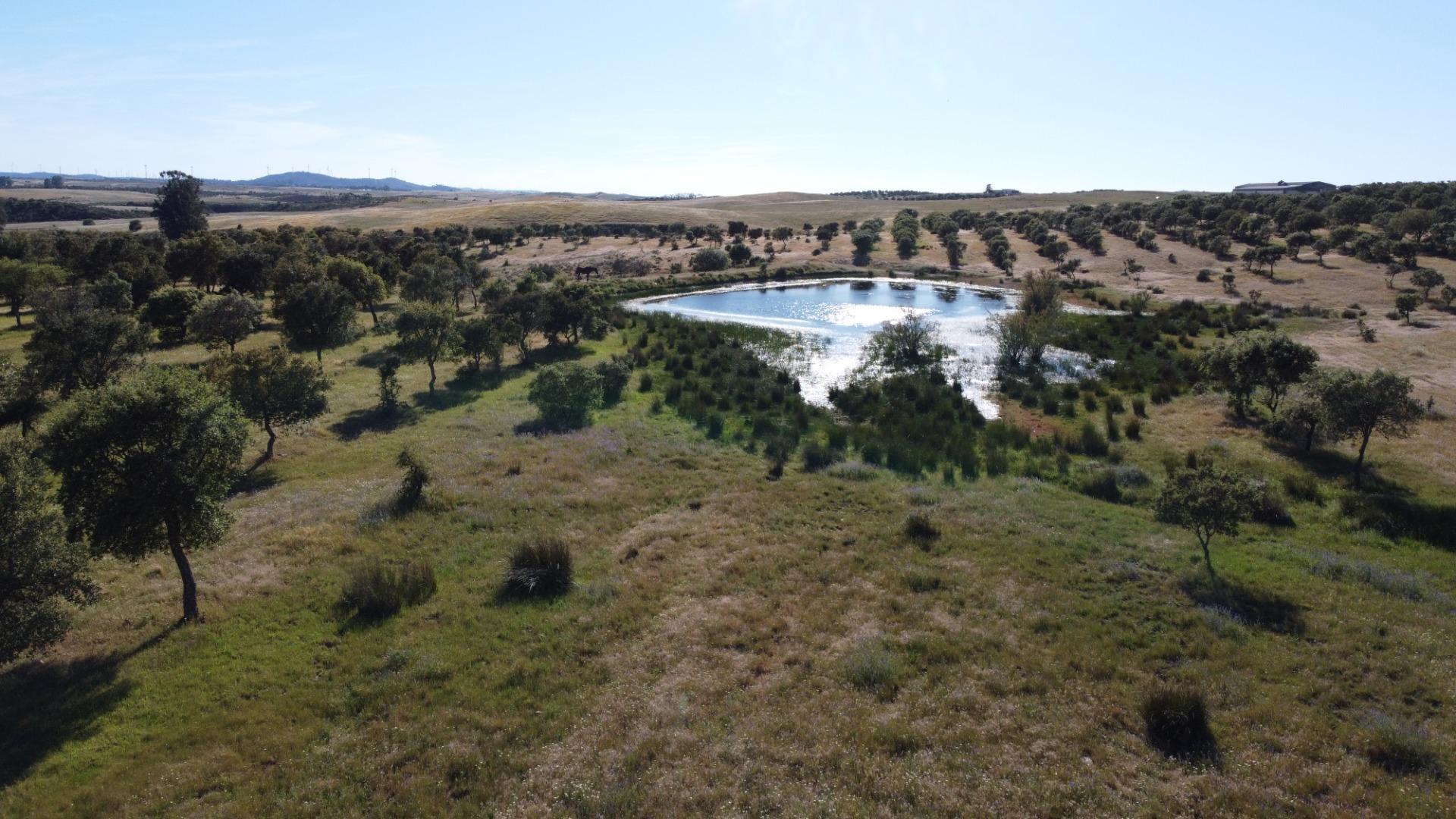 Pisos-Venta-Puebla de GuzmÃ¡n-2240144-Foto-2