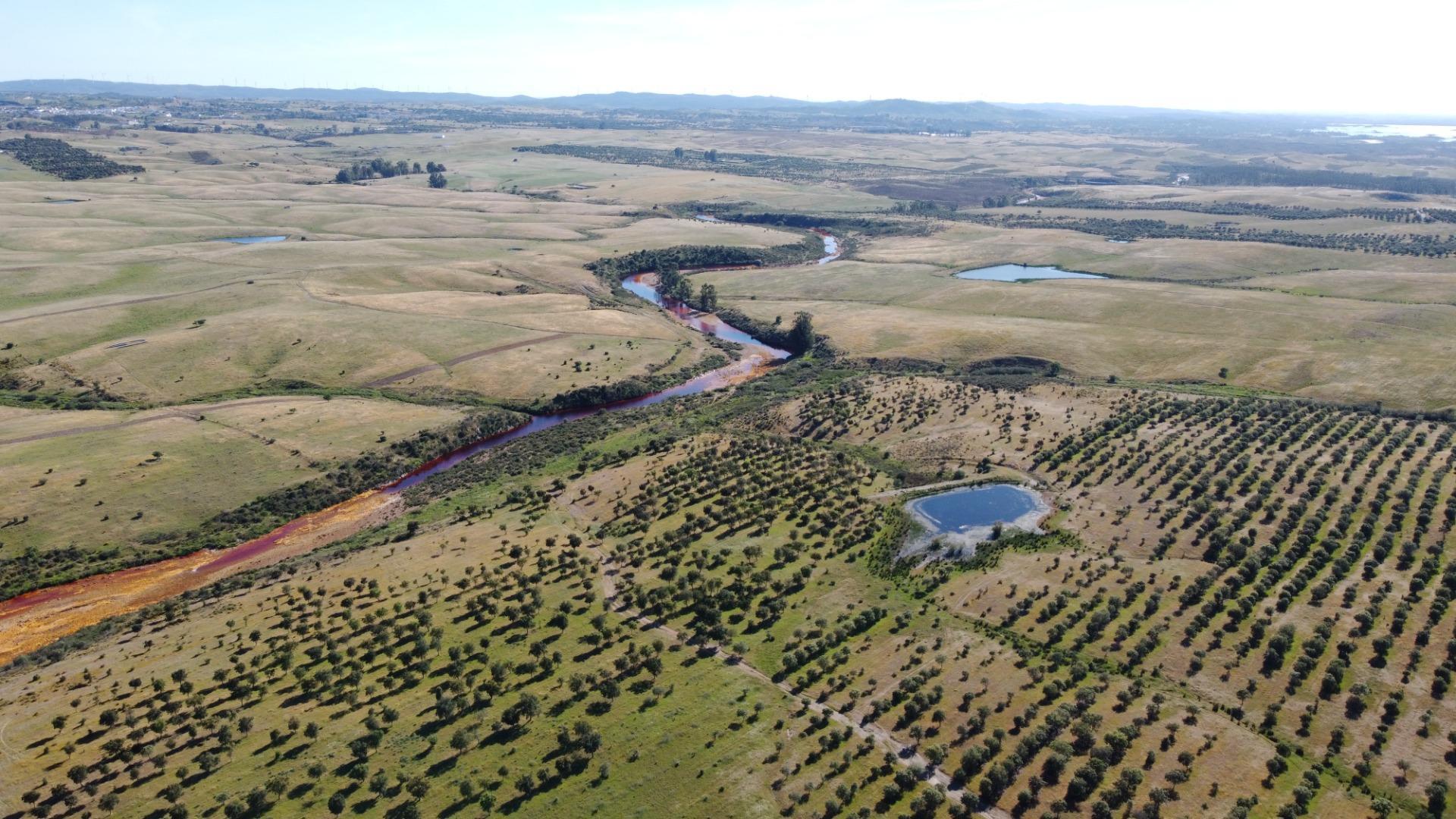 Pisos-Venta-Puebla de GuzmÃ¡n-2240144-Foto-30