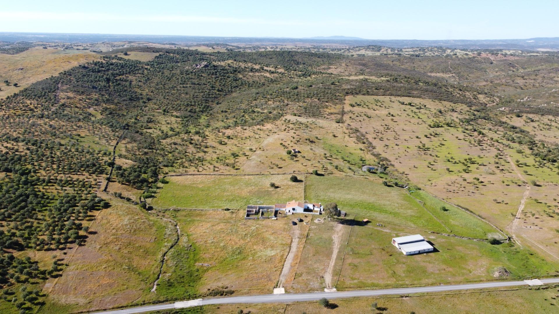 Pisos-Venta-Puebla de GuzmÃ¡n-2240144-Foto-33