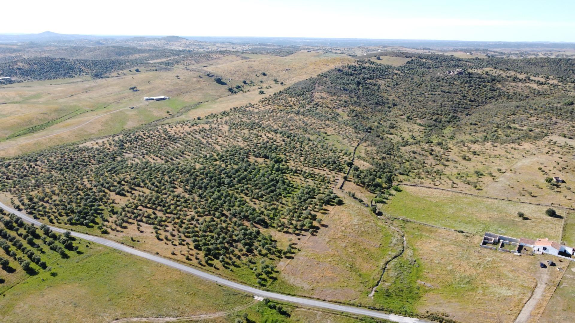 Pisos-Venta-Puebla de GuzmÃ¡n-2240144-Foto-34