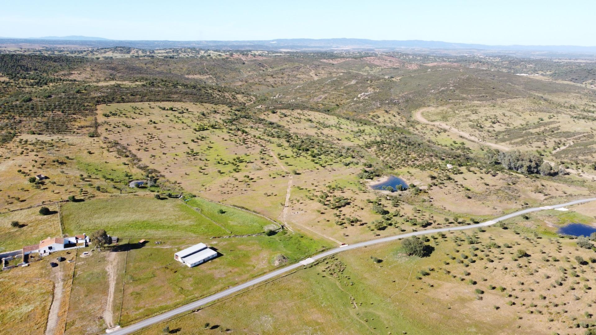 Pisos-Venta-Puebla de GuzmÃ¡n-2240144-Foto-35