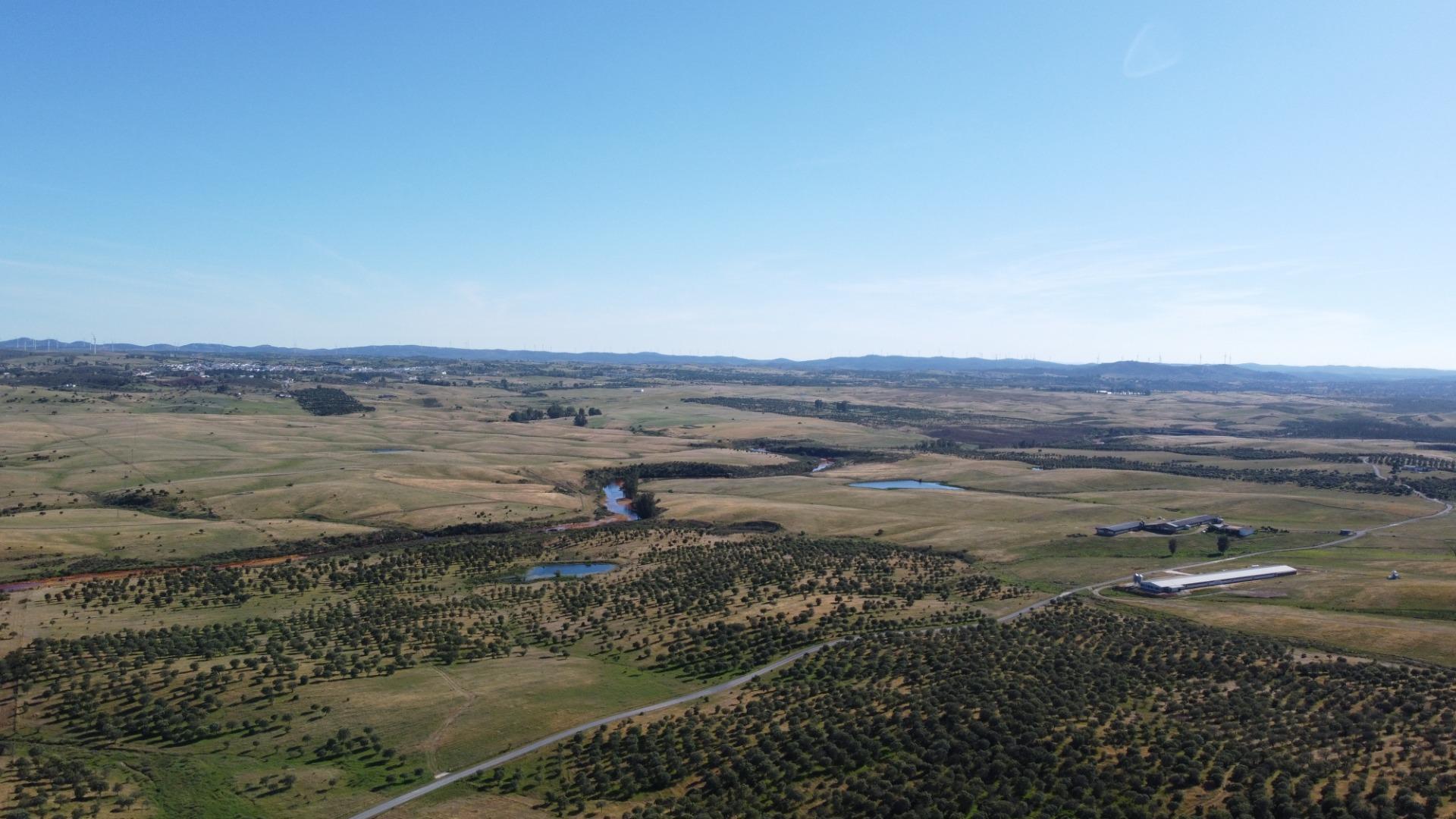 Pisos-Venta-Puebla de GuzmÃ¡n-2240144-Foto-39