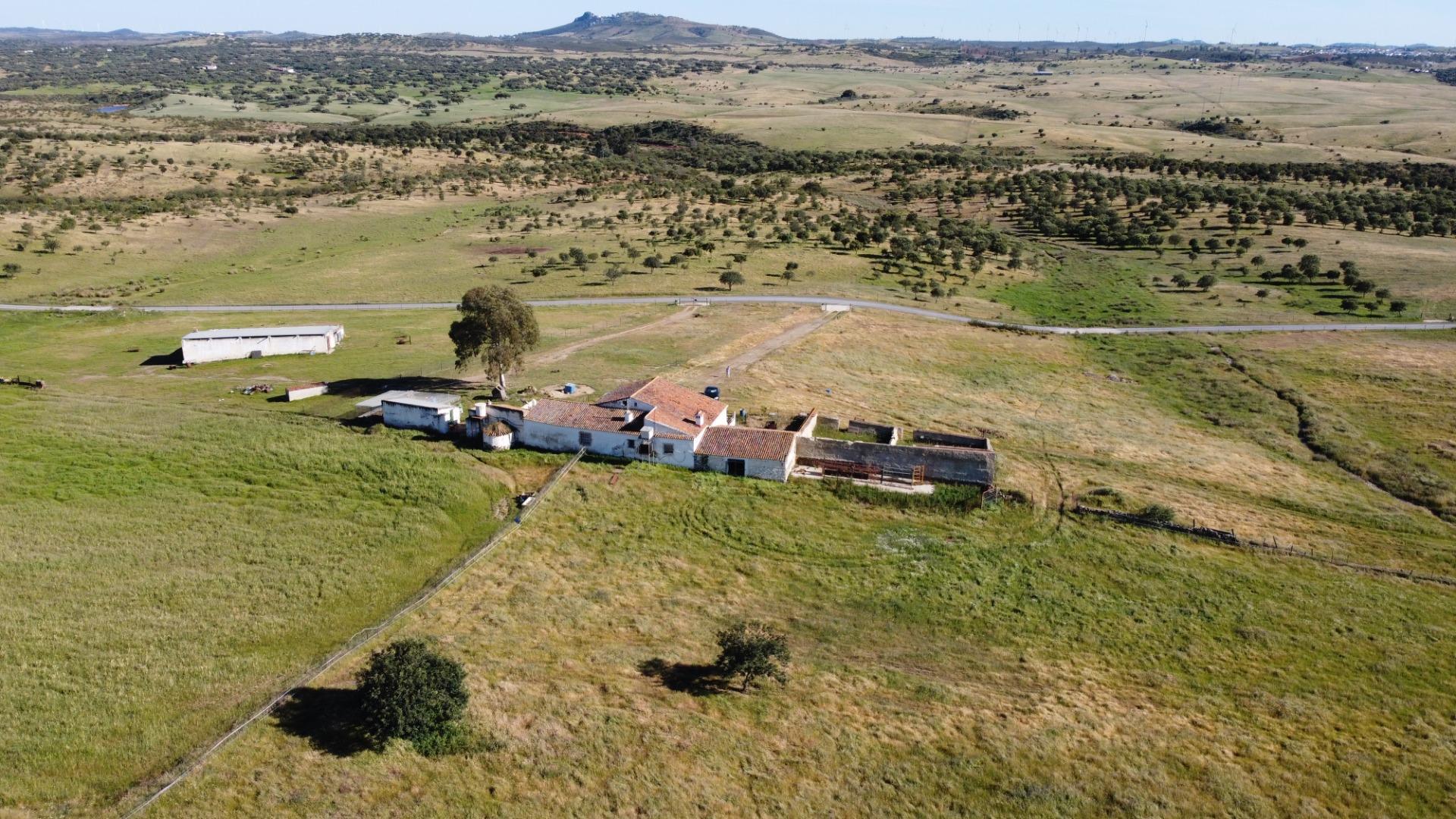 Pisos-Venta-Puebla de GuzmÃ¡n-2240144-Foto-40