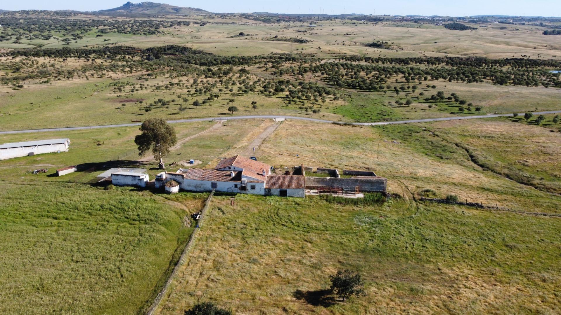 Pisos-Venta-Puebla de GuzmÃ¡n-2240144-Foto-41