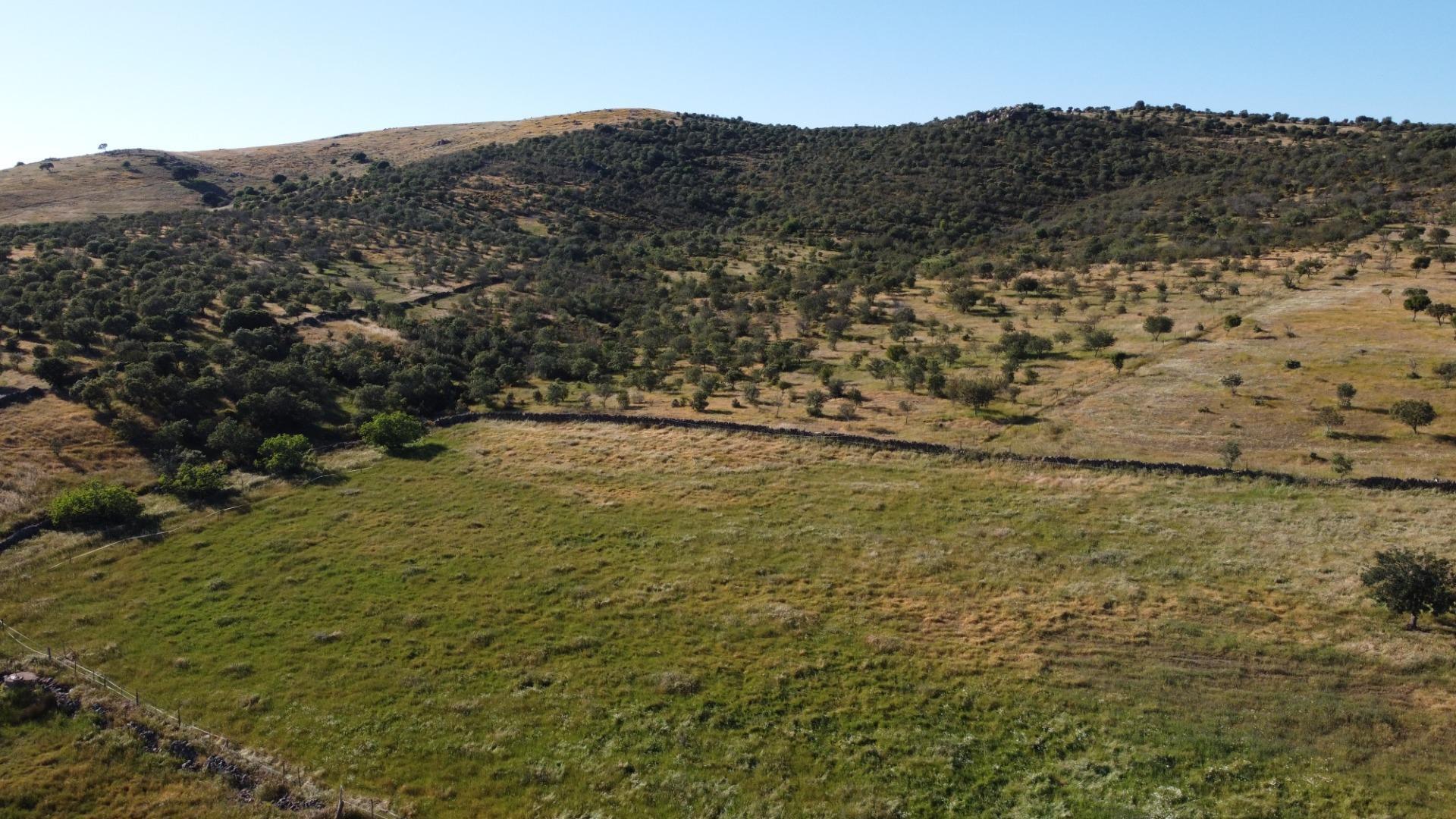 Pisos-Venta-Puebla de GuzmÃ¡n-2240144-Foto-53