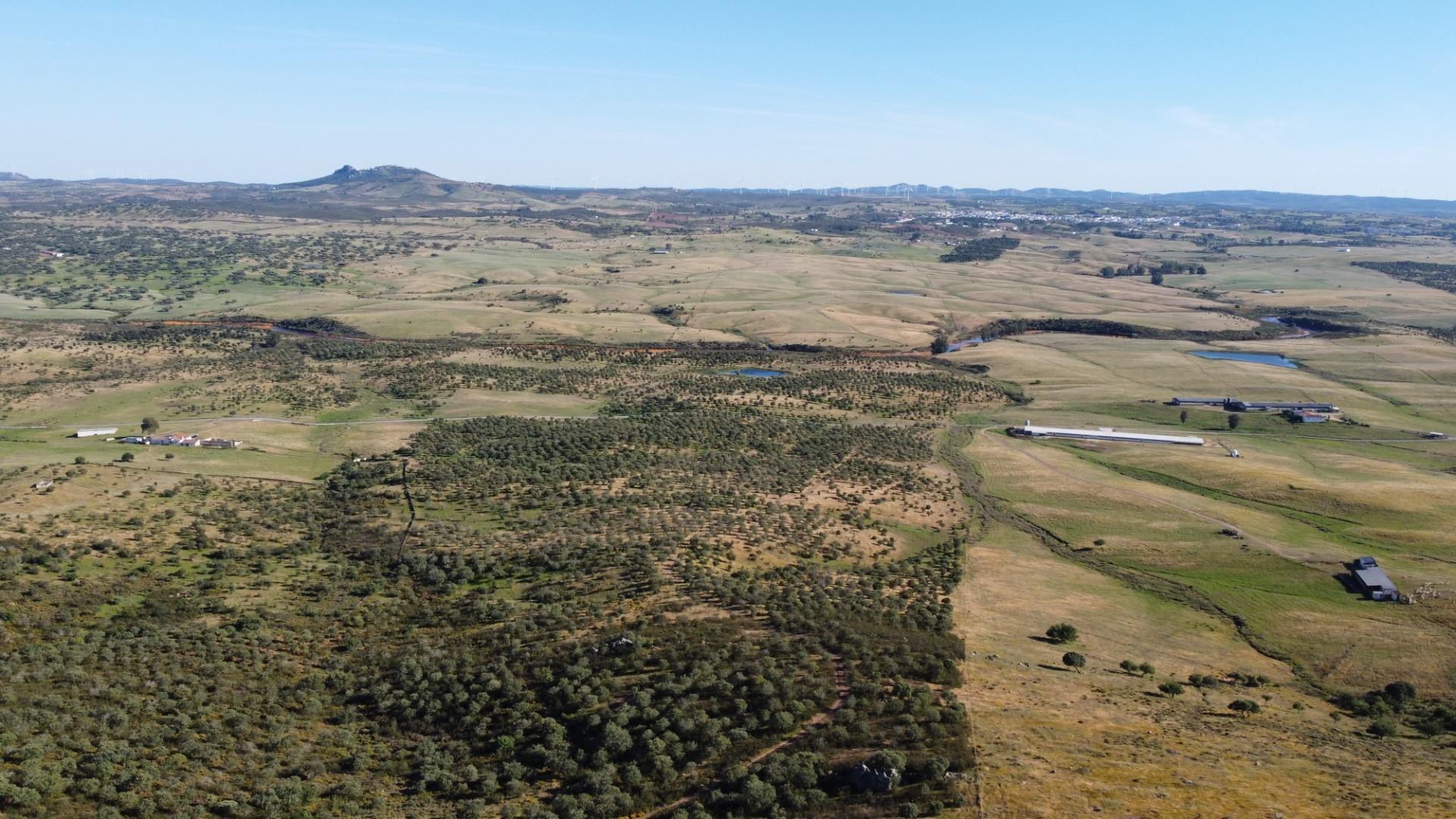 Pisos-Venta-Puebla de GuzmÃ¡n-2240144-Foto-51