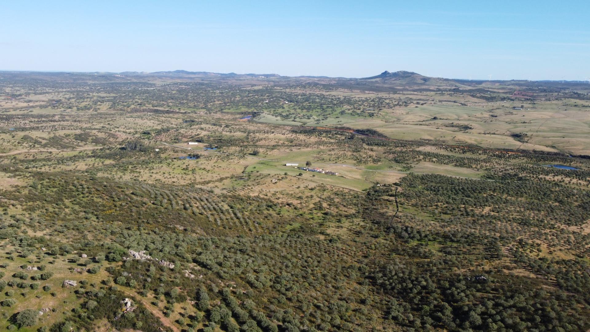 Pisos-Venta-Puebla de GuzmÃ¡n-2240144-Foto-52