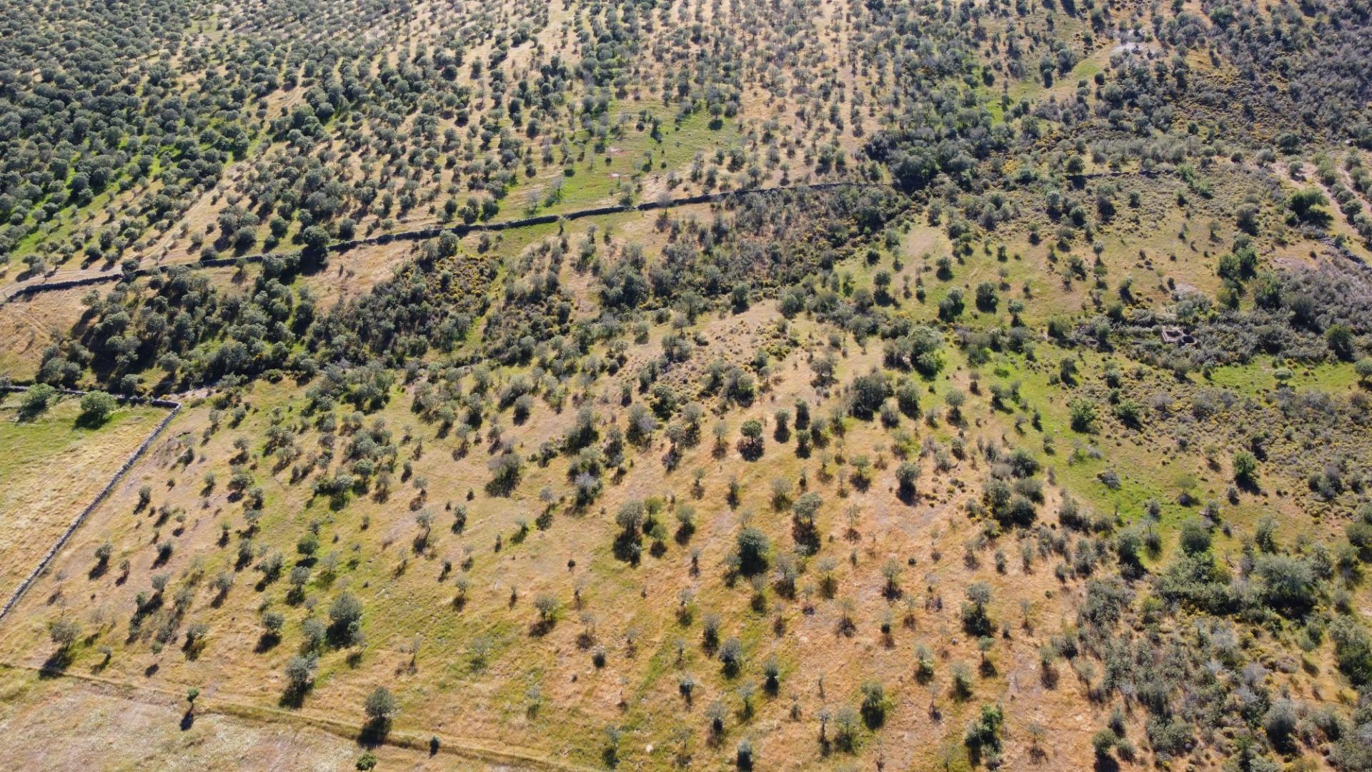 Pisos-Venta-Puebla de GuzmÃ¡n-2240144-Foto-54