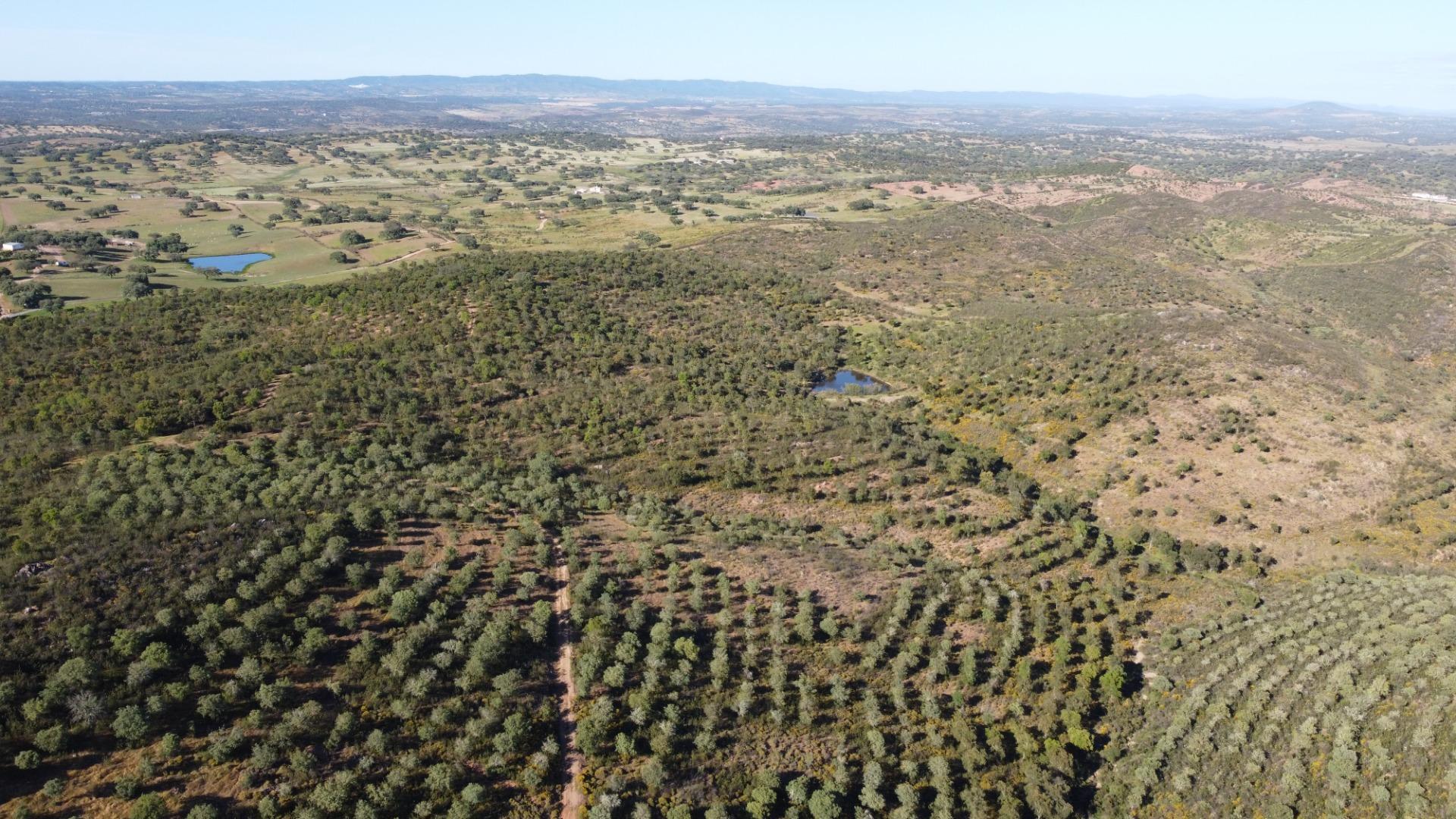 Pisos-Venta-Puebla de GuzmÃ¡n-2240144-Foto-56