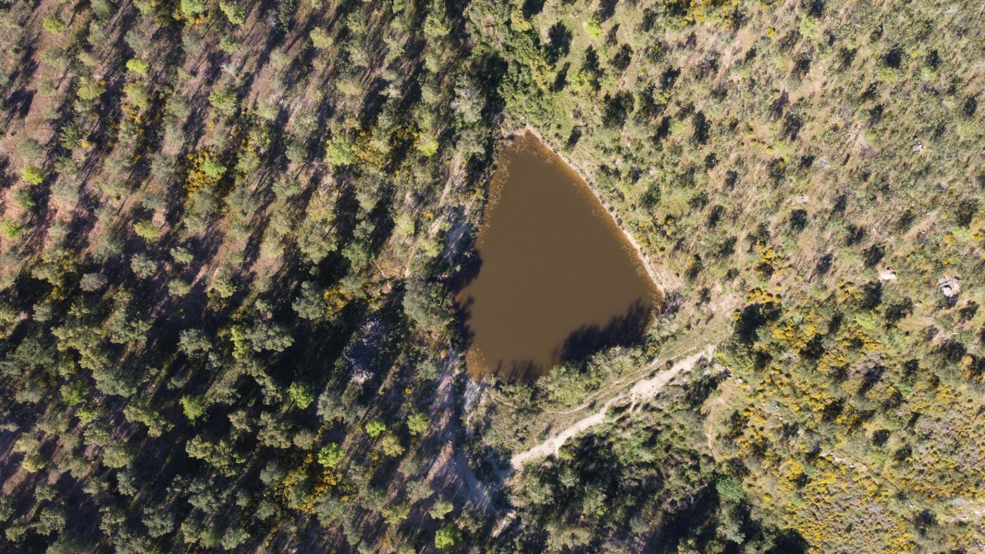 Pisos-Venta-Puebla de GuzmÃ¡n-2240144-Foto-55