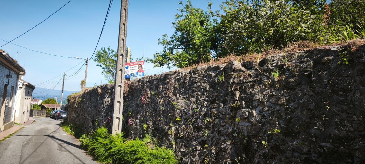 Fincas y solares-Venta-VilagarcÃ­a de Arousa-2241719-Foto-3