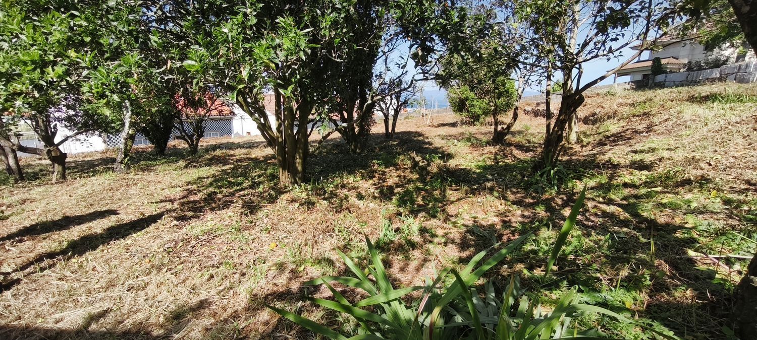 Fincas y solares-Venta-VilagarcÃ­a de Arousa-2241719-Foto-10