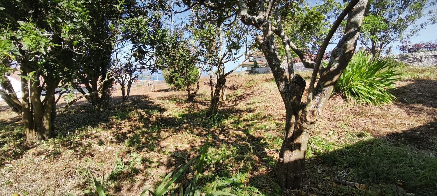 Fincas y solares-Venta-VilagarcÃ­a de Arousa-2241719-Foto-11