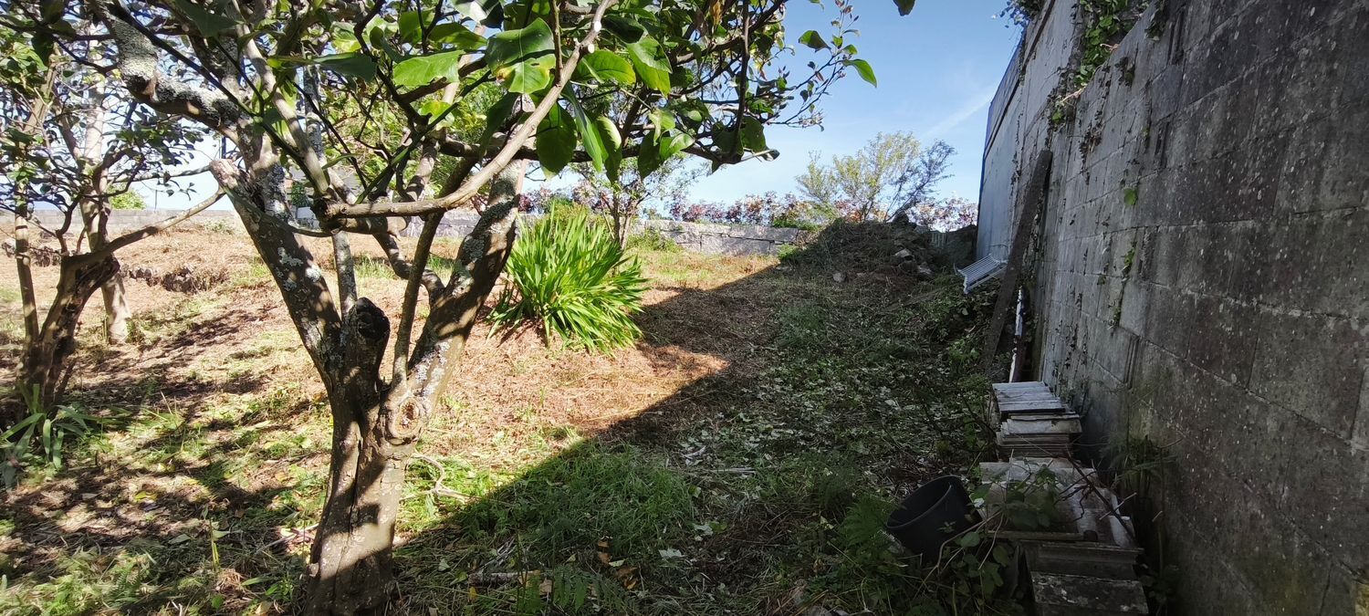 Fincas y solares-Venta-VilagarcÃ­a de Arousa-2241719-Foto-9